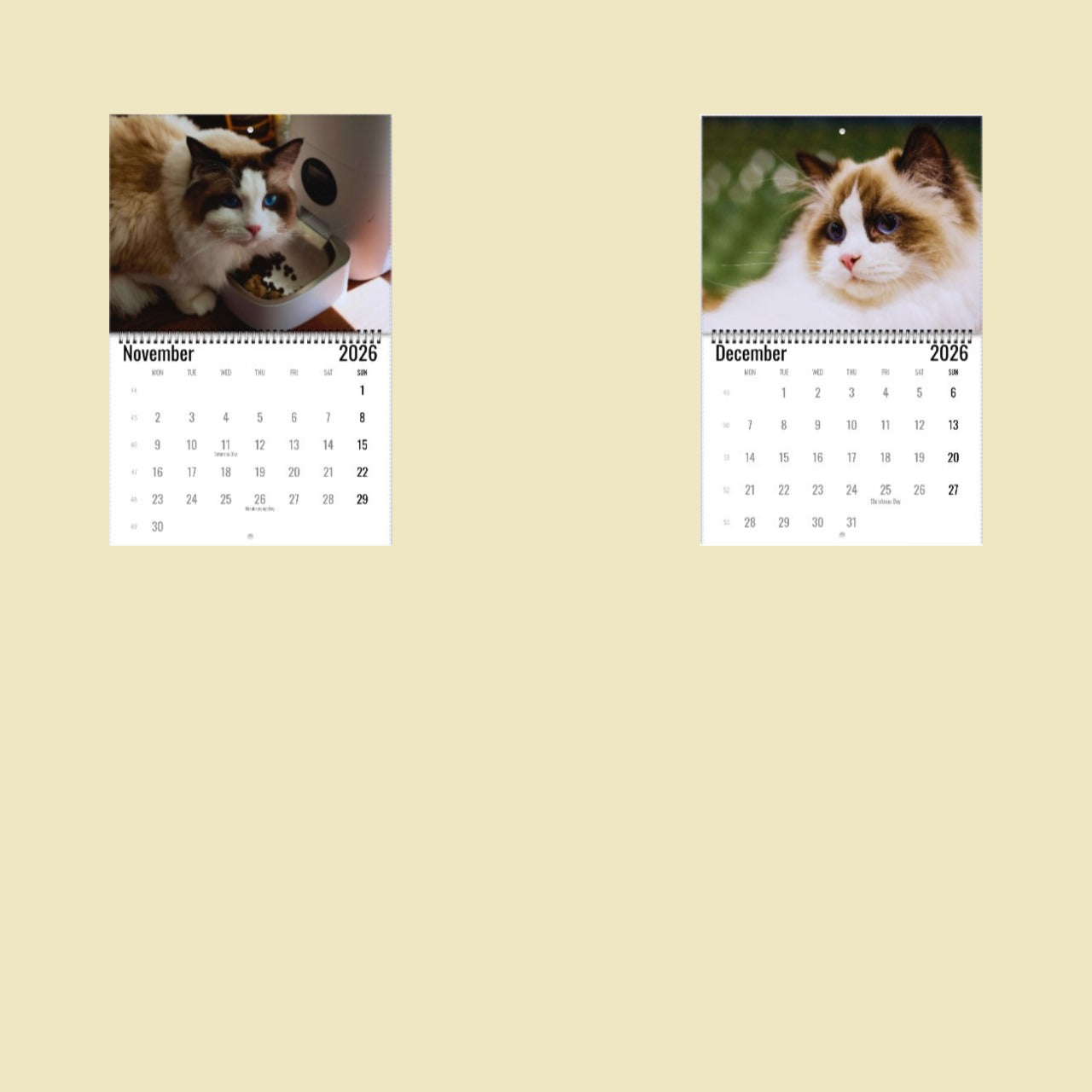 Ragdoll Cat Wall Calendar 2026