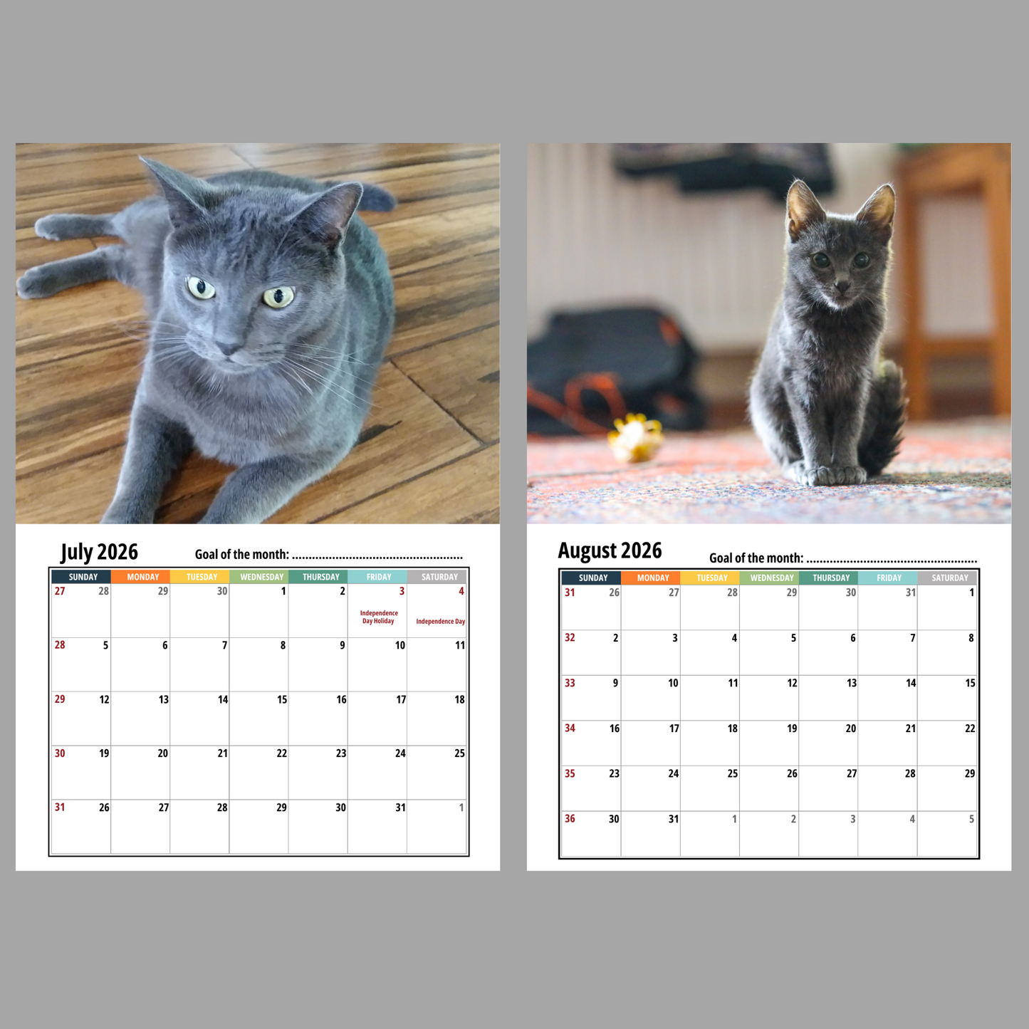 Russian Blue Cat Wall Calendar 2026