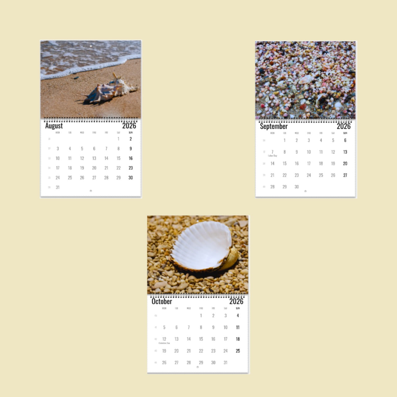 Sea Shells Wall Calendar 2026