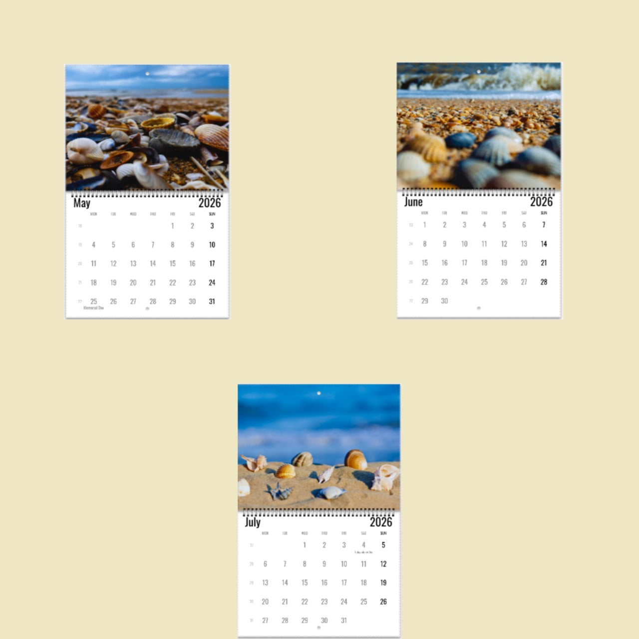 Sea Shells Wall Calendar 2026