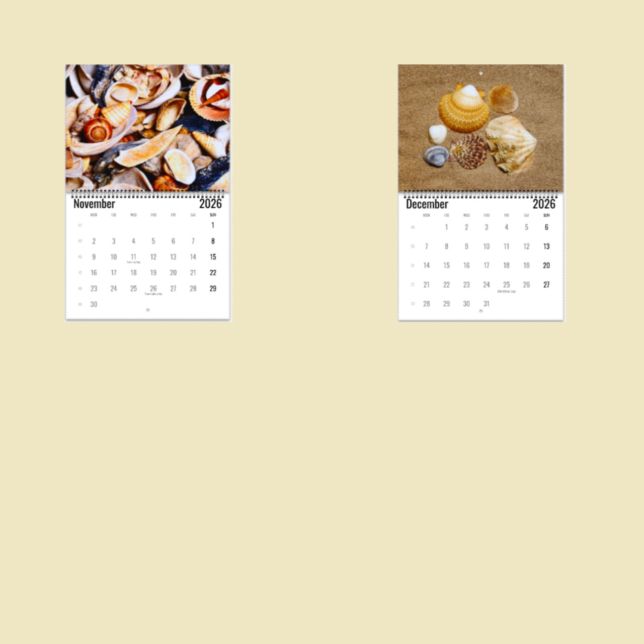 Sea Shells Wall Calendar 2026