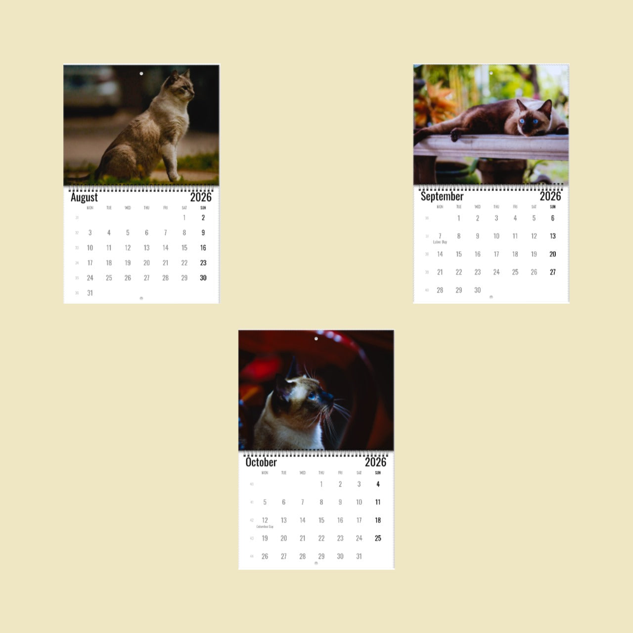 Siamese Cat Wall Calendar 2026