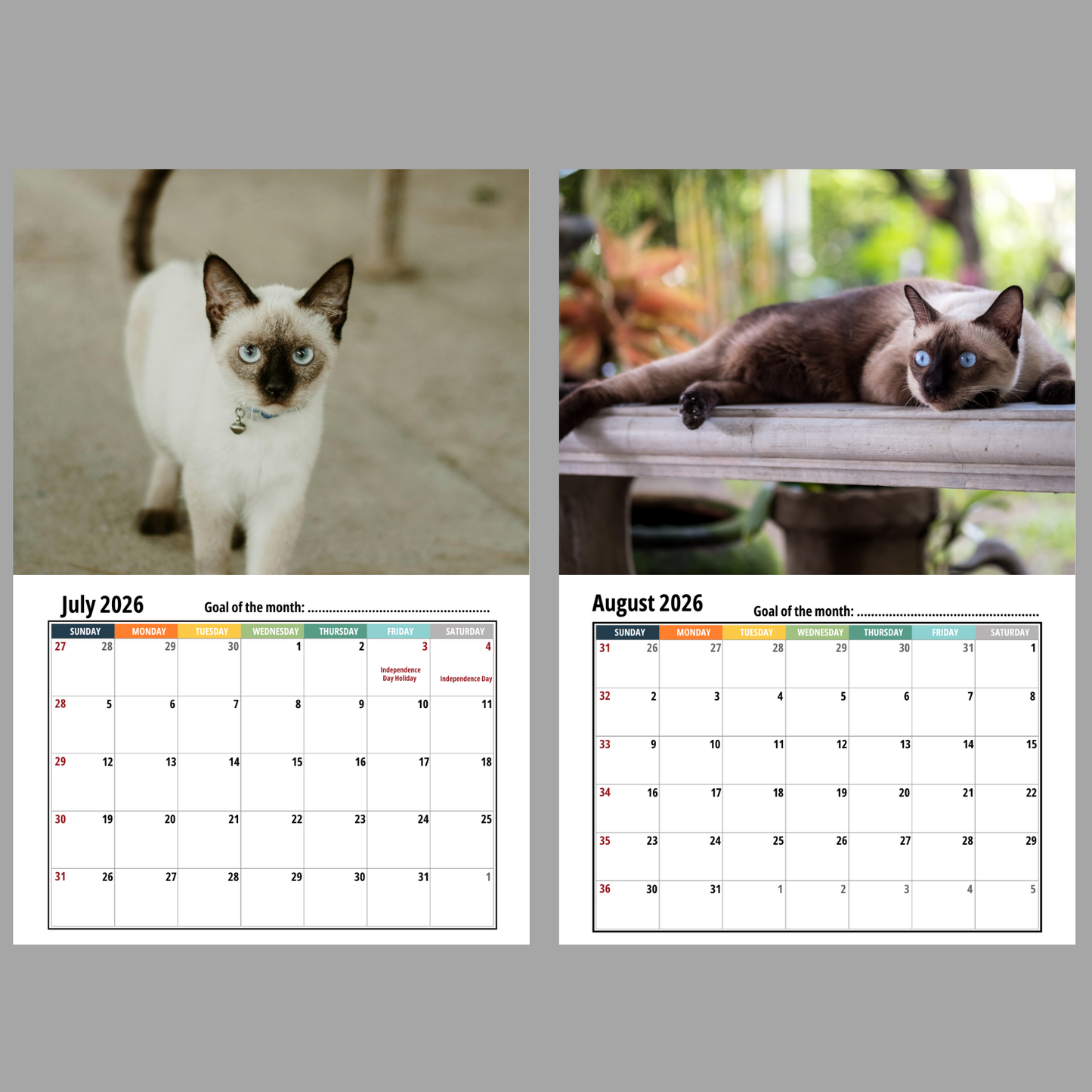 Siamese Cat Wall Calendar 2026