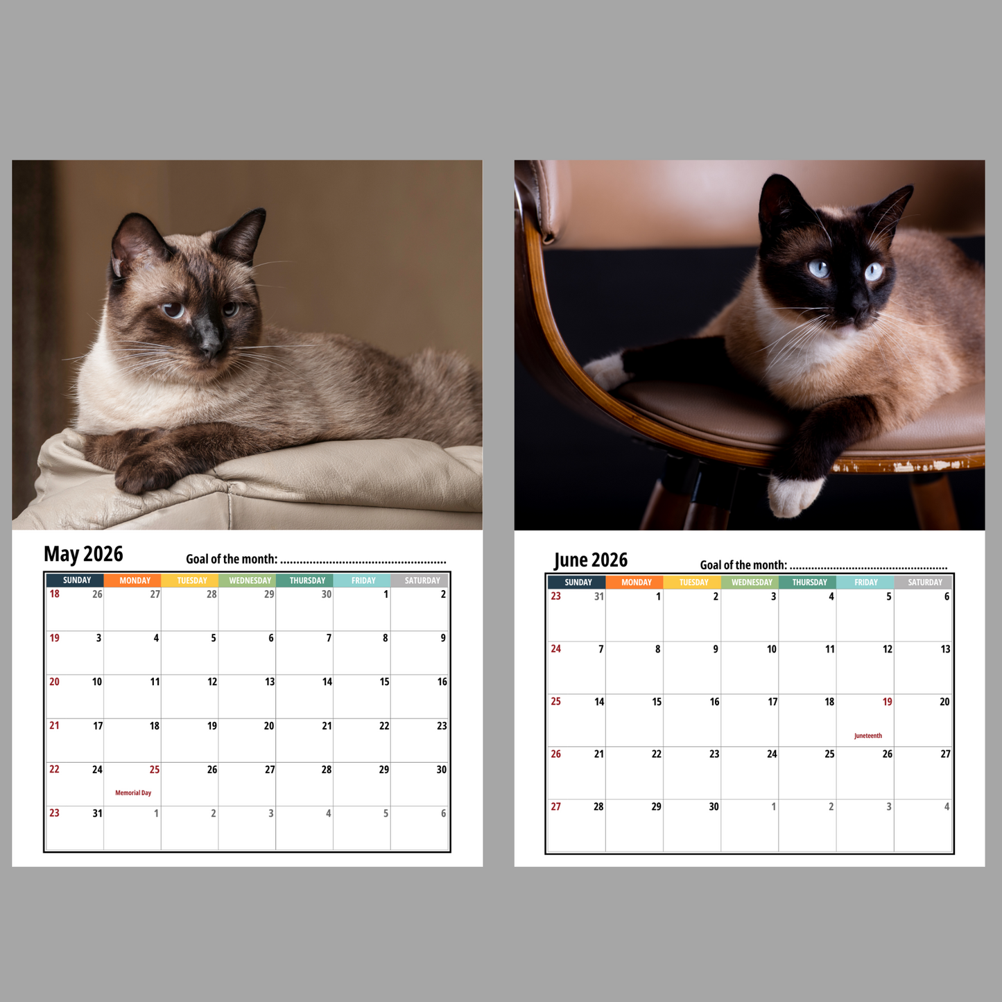 Siamese Cat Wall Calendar 2026