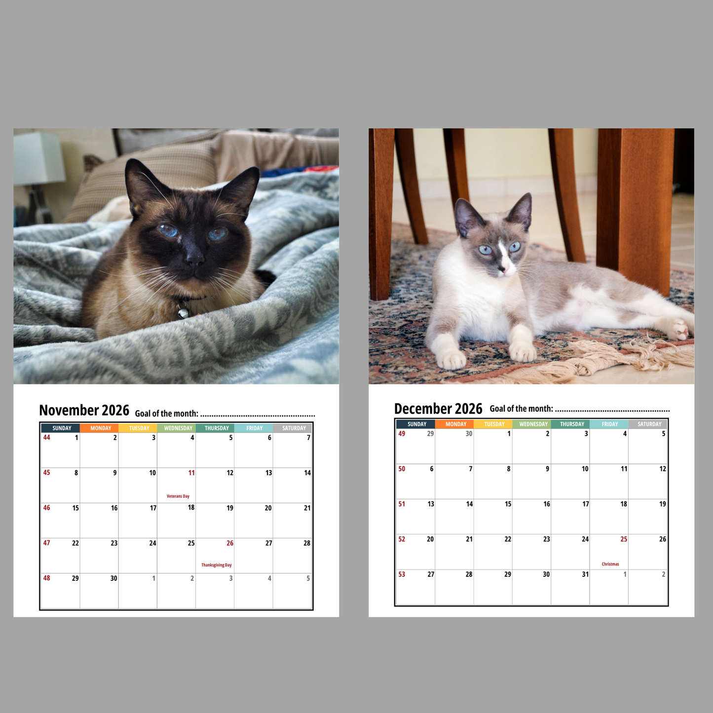 Siamese Cat Wall Calendar 2026