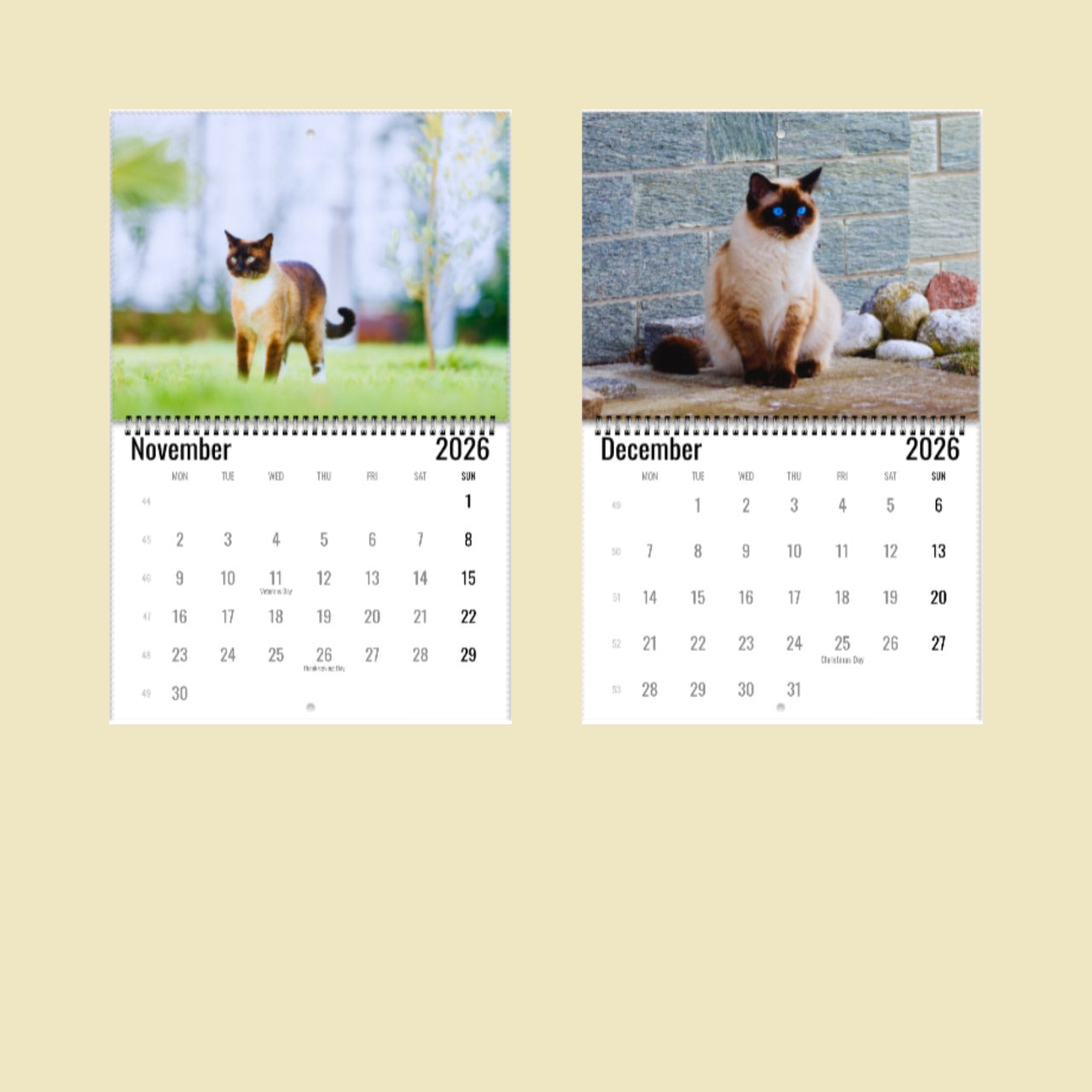Siamese Cat Wall Calendar 2026