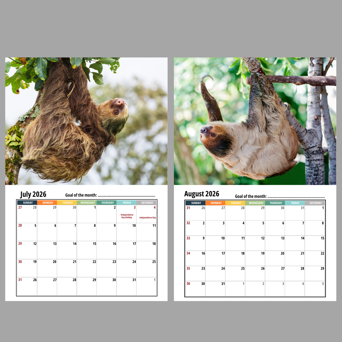 Calendar with sloths on a gray background with July,August 2026