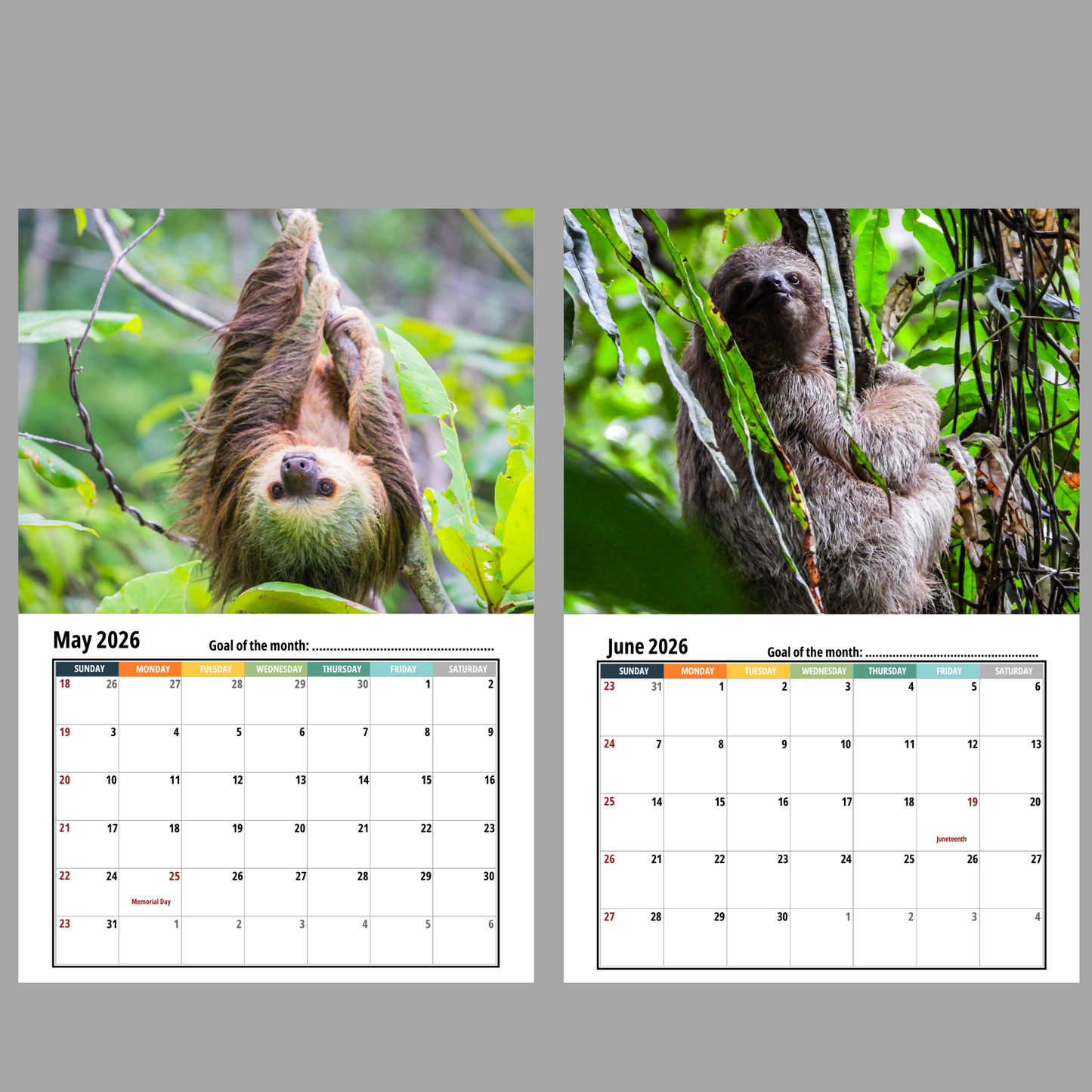 Two sloths in a forest setting with May and June 2026 calendars displayed below.