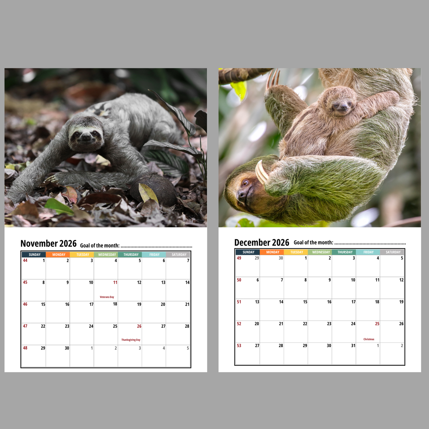 Two sloth images with November and December 2026 calendars displayed below.