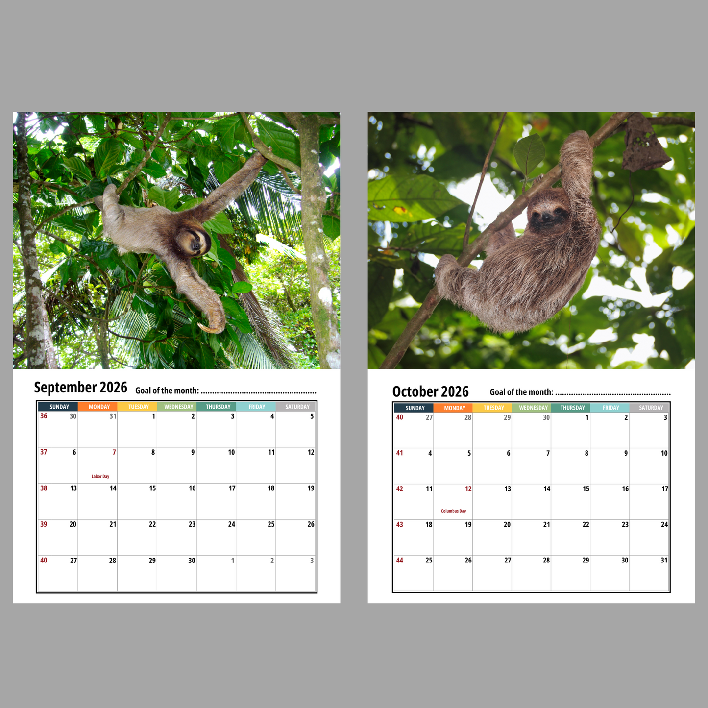 Sloth Wall Calendar 2026