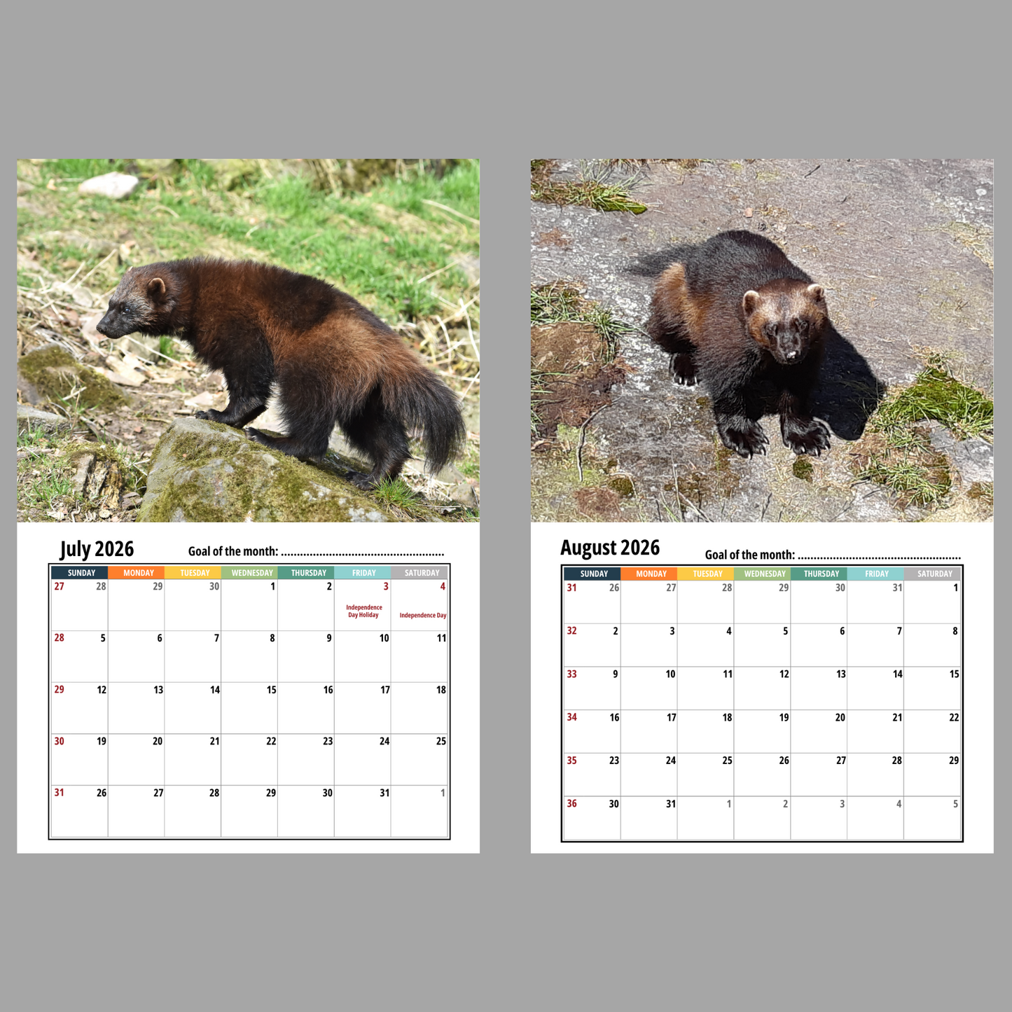 Wolverine Wall Calendar 2026