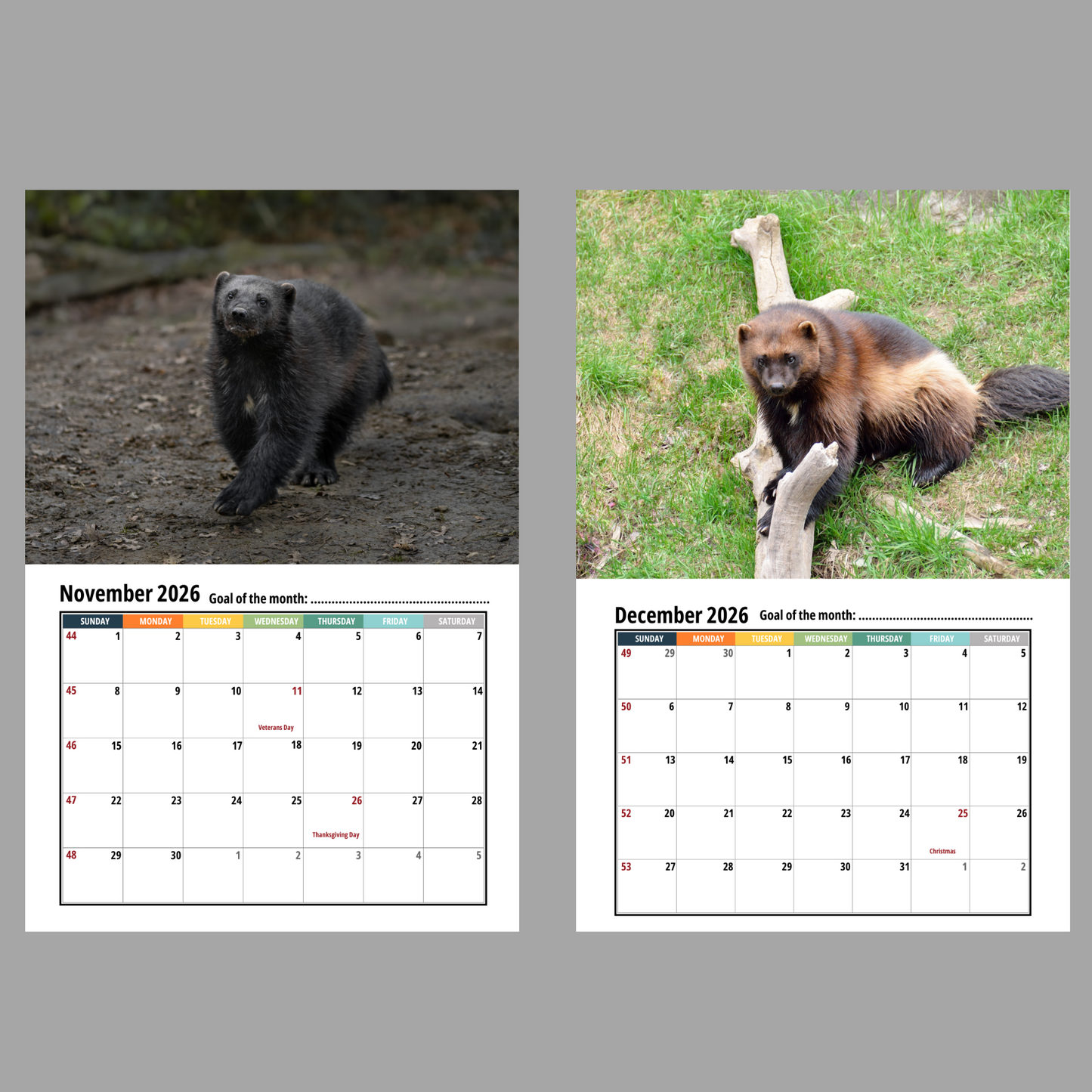 Wolverine Wall Calendar 2026