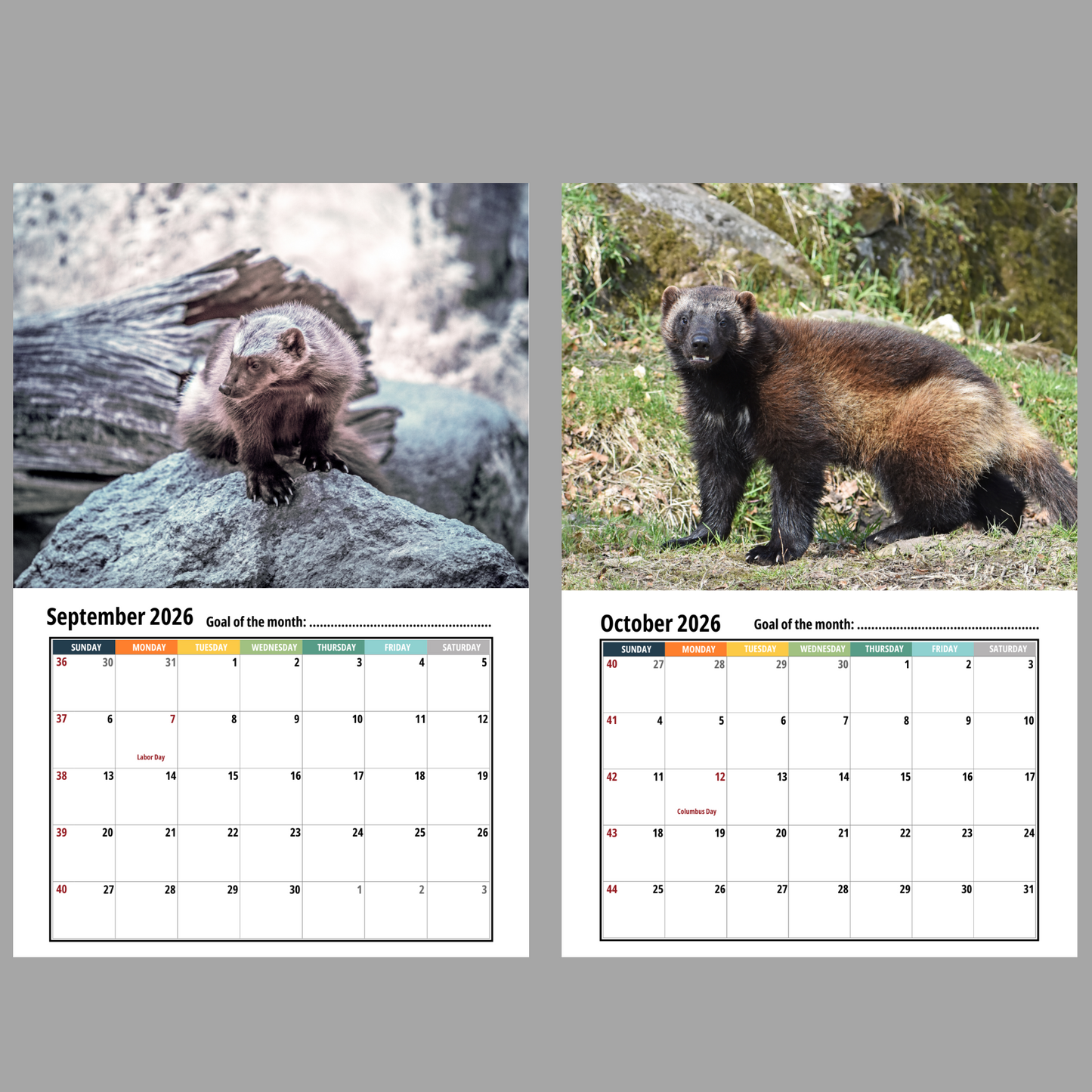 Wolverine Wall Calendar 2026