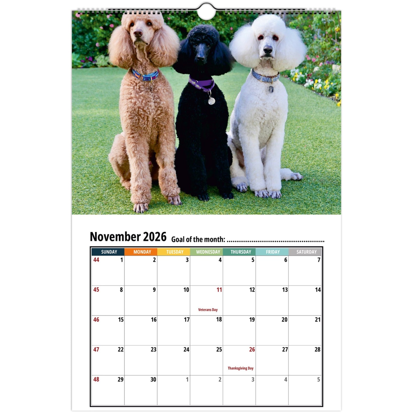 016d88df-54ca-4549-99f3-ec6a6be32f6b