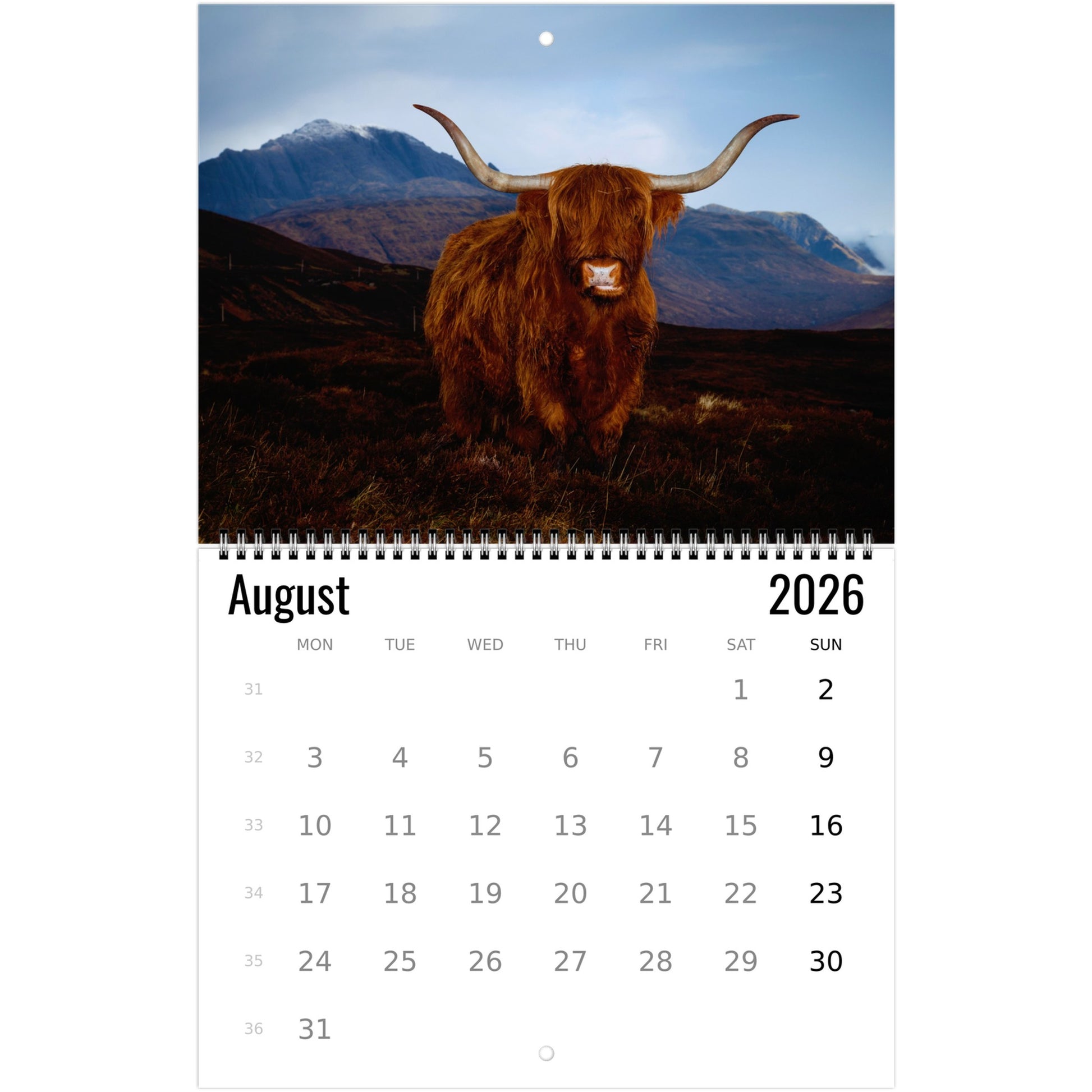 0507ae7c-63c9-4b62-aca5-dbe50d608263