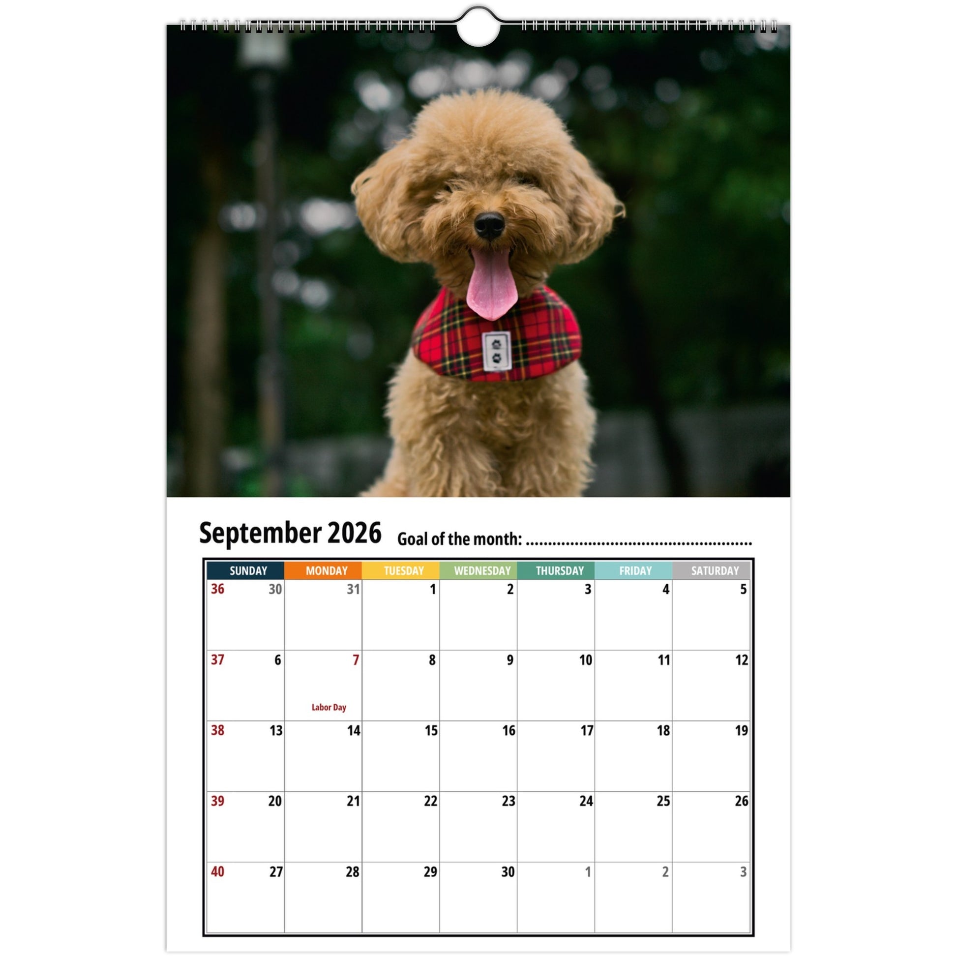 081d86bb-202a-4153-aa3e-215cb24ab476