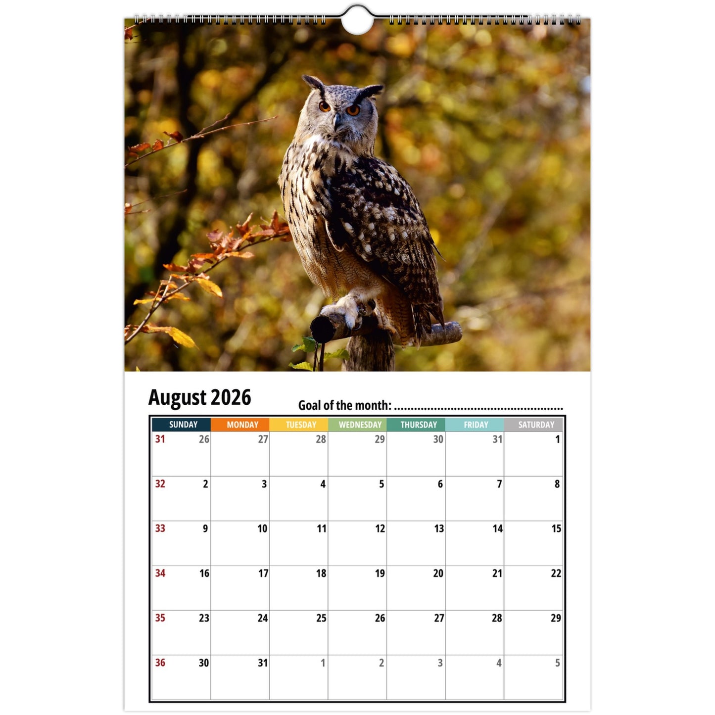 0a455f26-d499-47d9-b2c7-fcf3d2451cb8