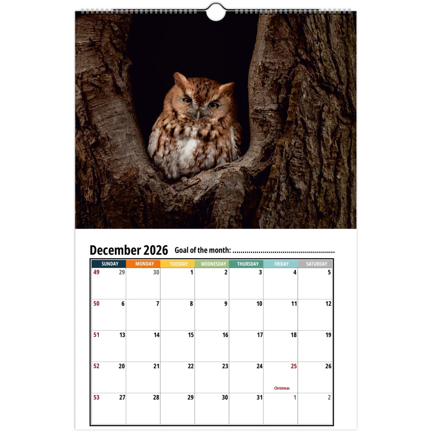 1073a512-d44a-4157-b899-adc09a59a071