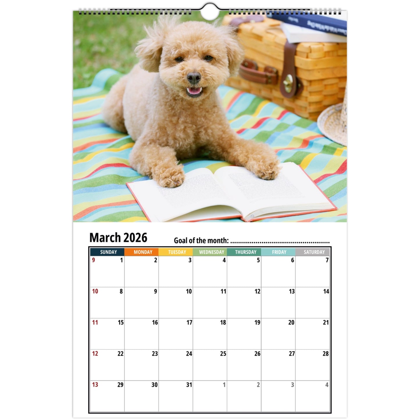 12a4fbea-2985-47f9-bed6-3356b97e85ca