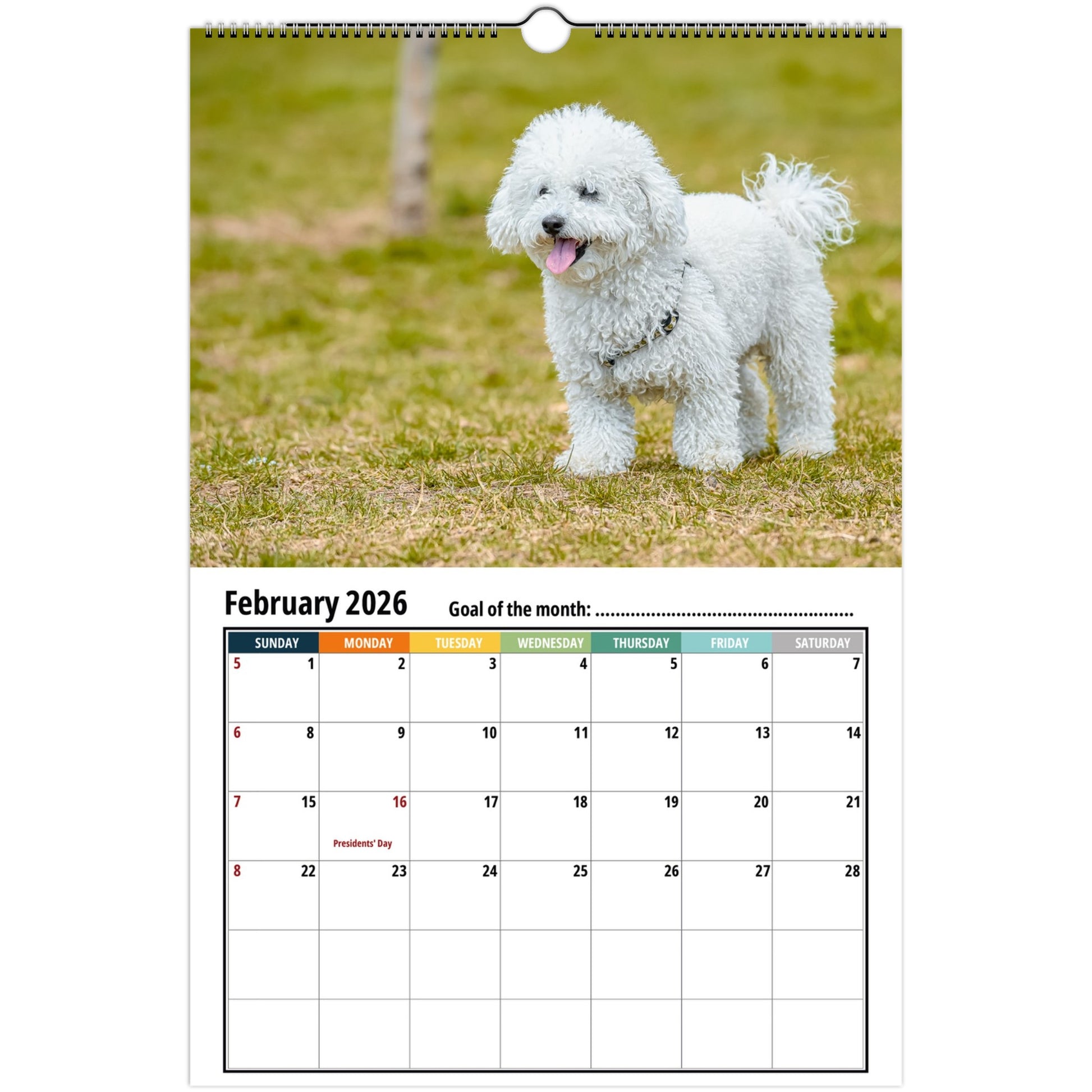 1372d9ed-87ce-49d7-bf1e-42eb6448bd40