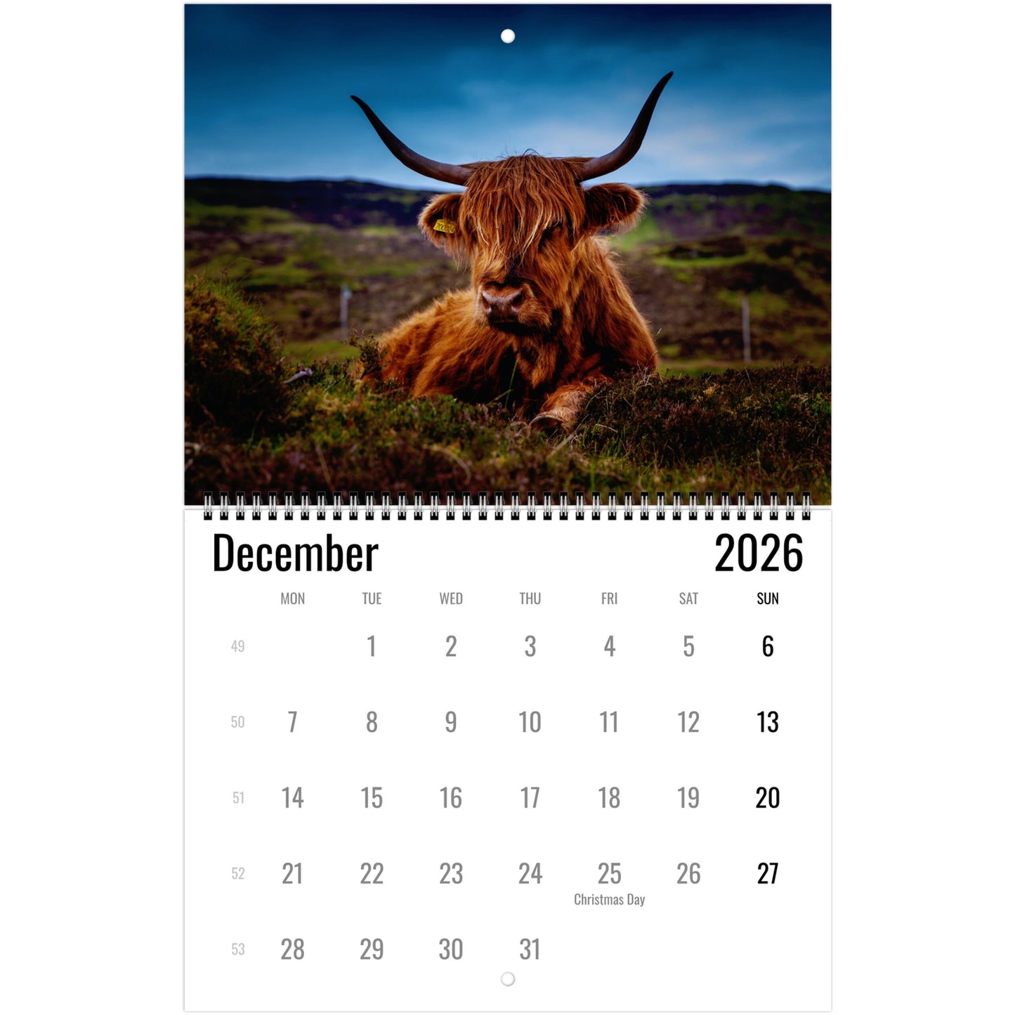 15dc8220-0474-4d52-98bf-7c802d2a97df