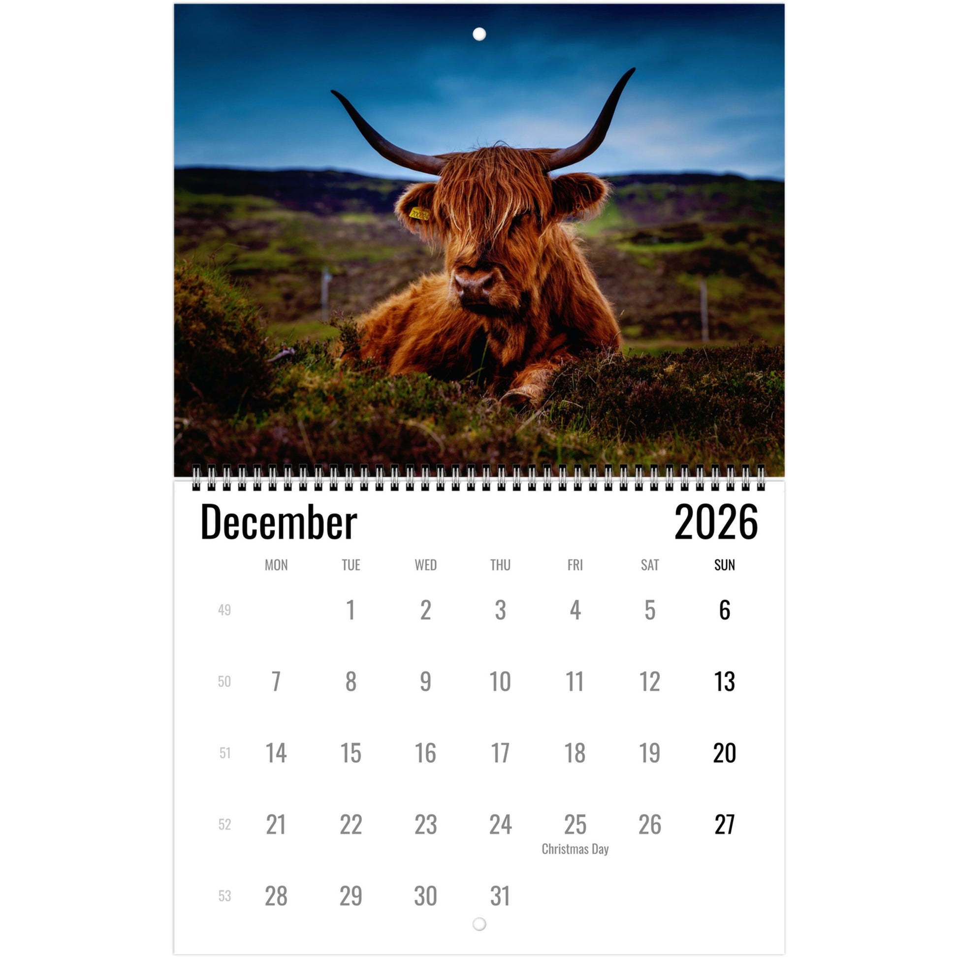 15dc8220-0474-4d52-98bf-7c802d2a97df