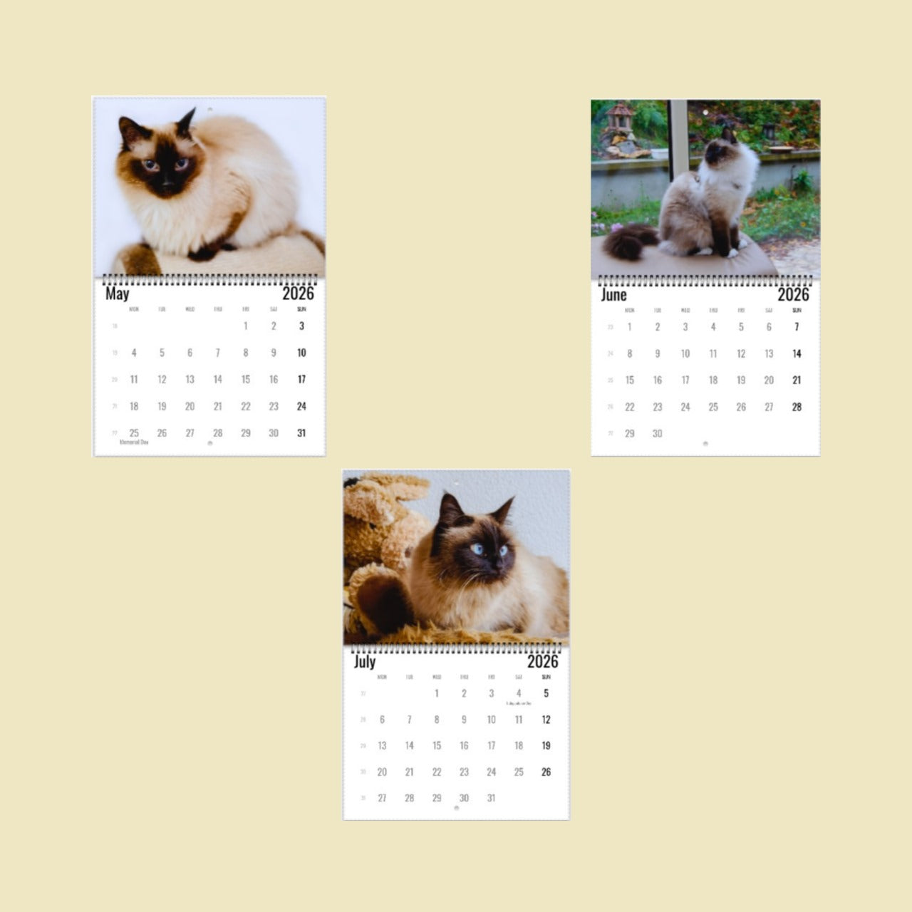 2026 Birman Cat Calendar