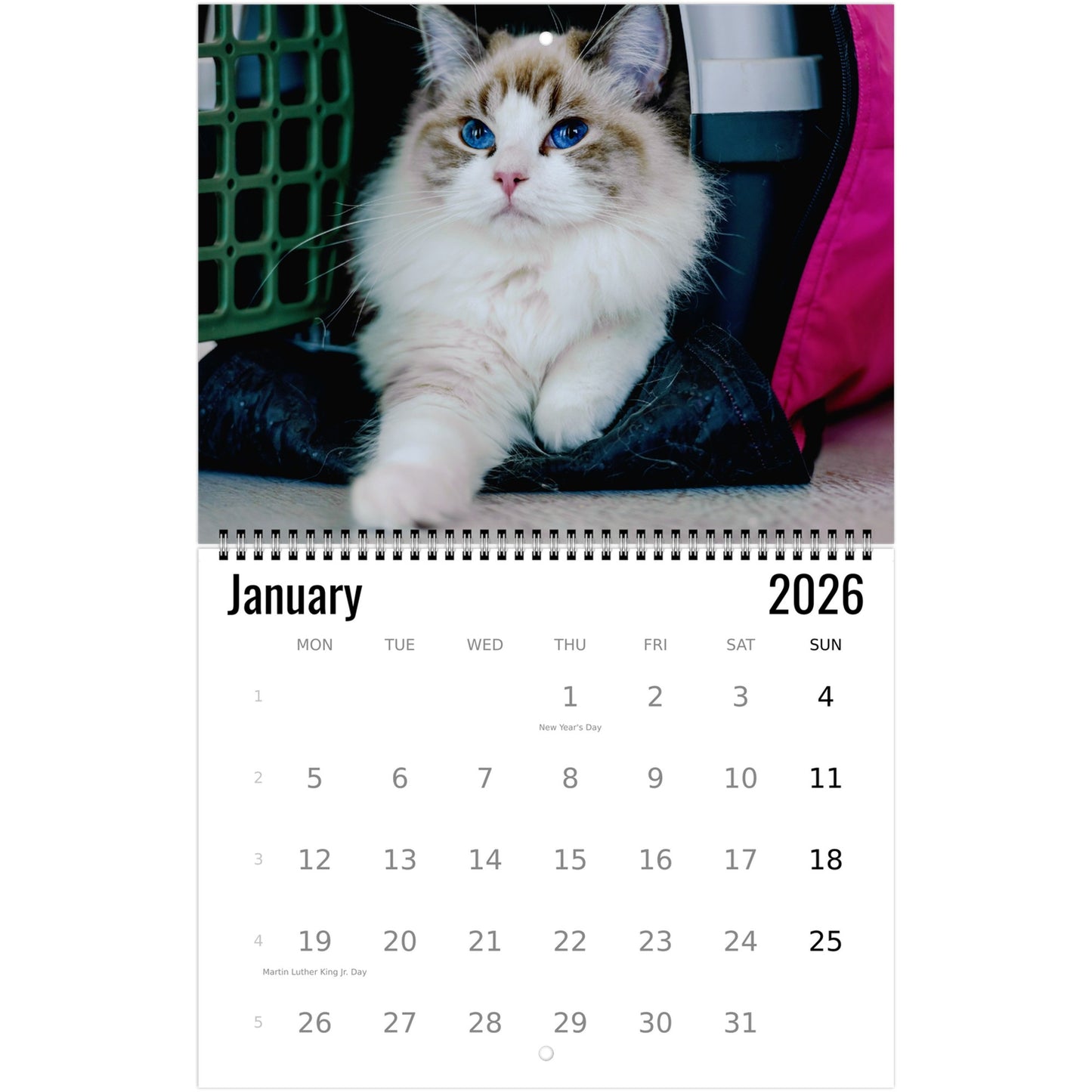 2026 Ragdoll Cat Calendar 