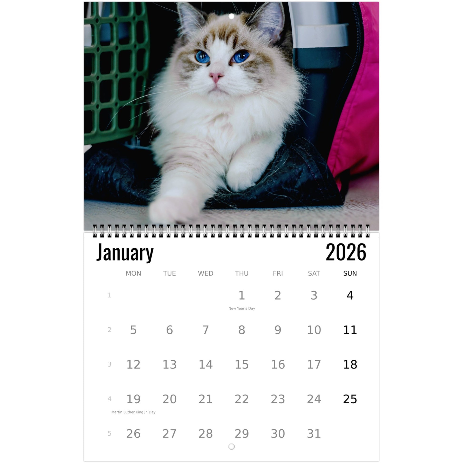2026 Ragdoll Cat Calendar 