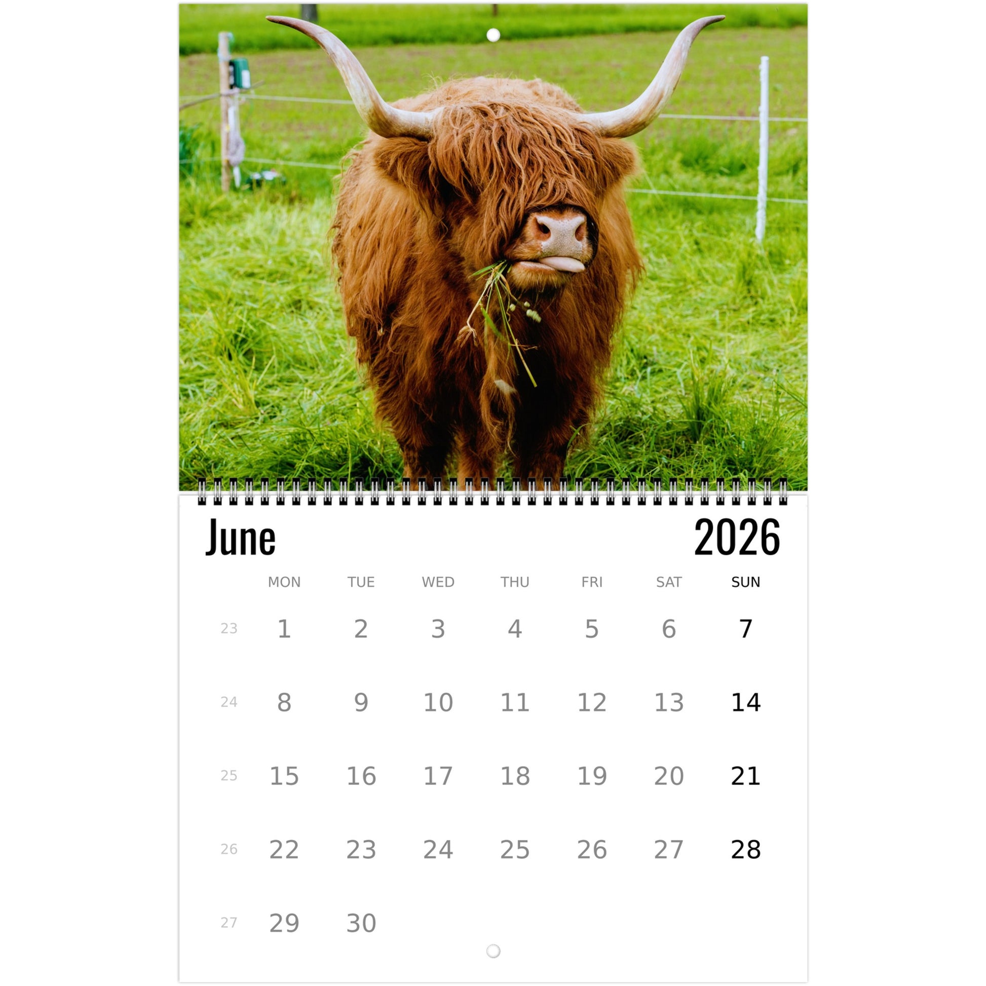 2b82fd89-bd4b-442a-a0e8-fb865a98bda0