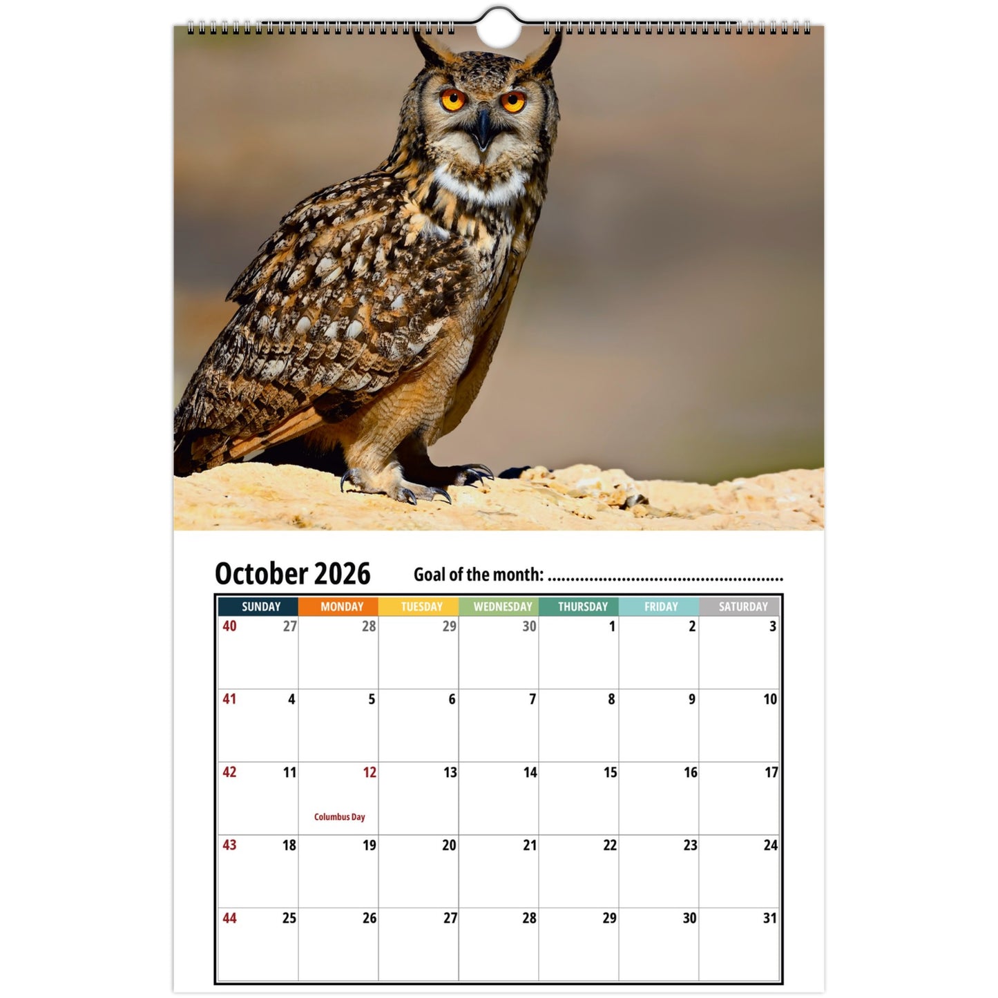 2ebfaa91-b4ba-4c3f-a5dc-9684b162a81d