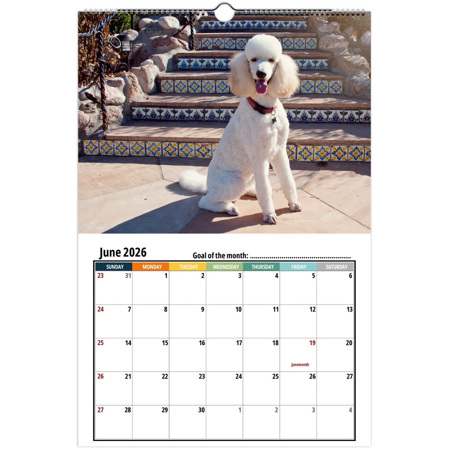 2f7268b5-96f1-4920-a7fe-3030cbeaa4fb