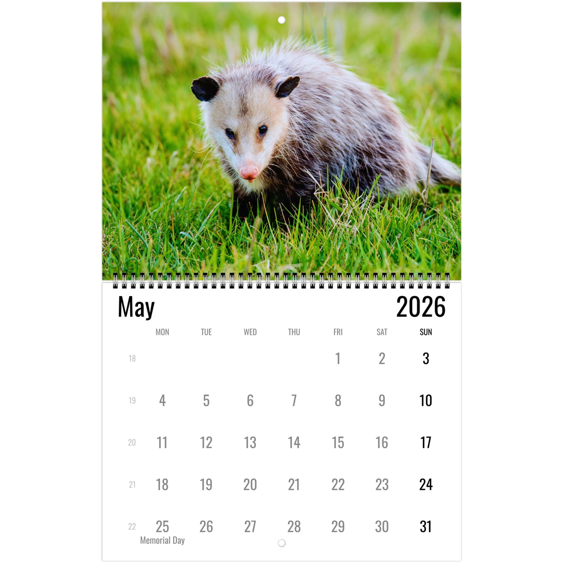 391bd505-6f18-4a41-a12b-14c23d8b2c88