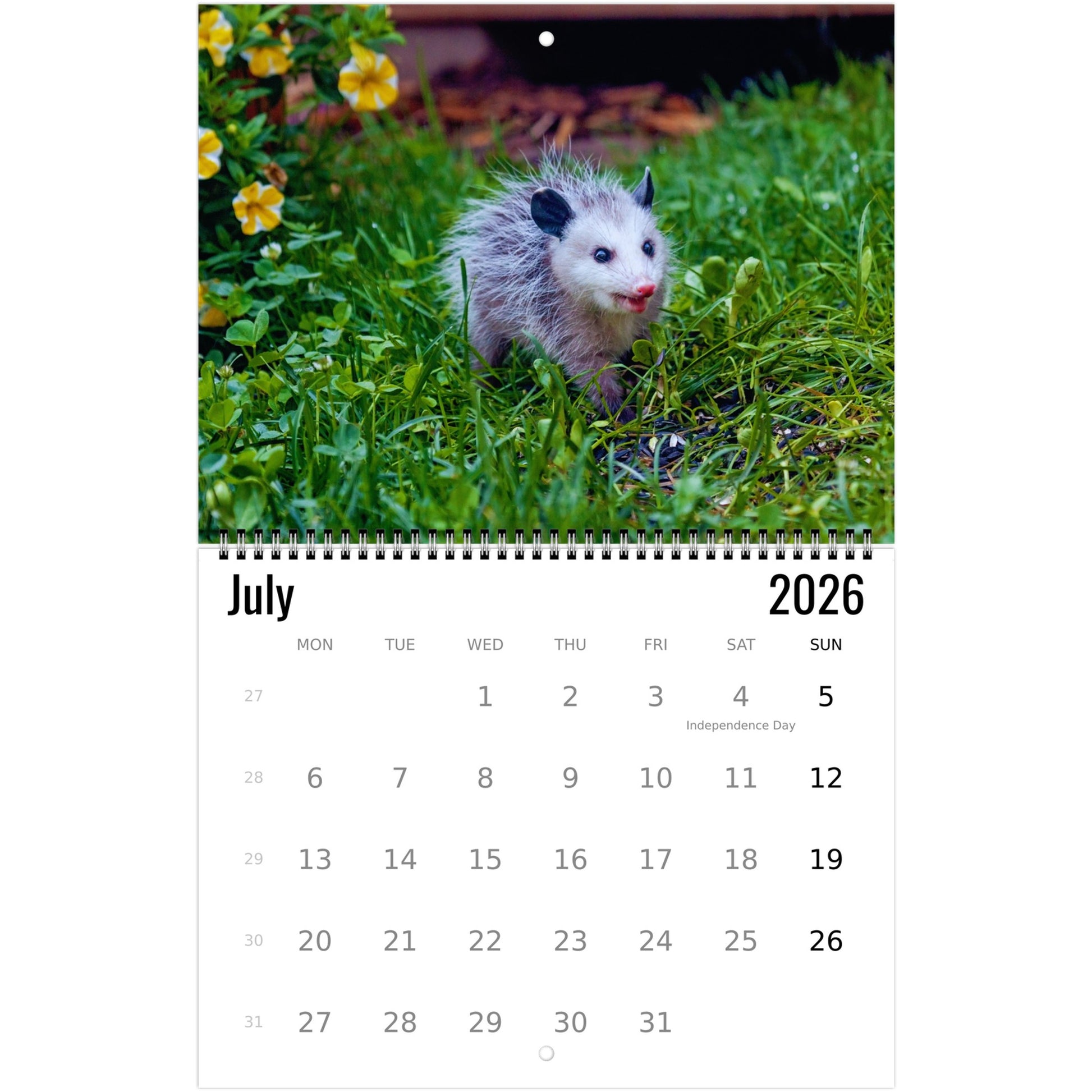 51a0f999-c7d6-49d8-abe6-654198359d95