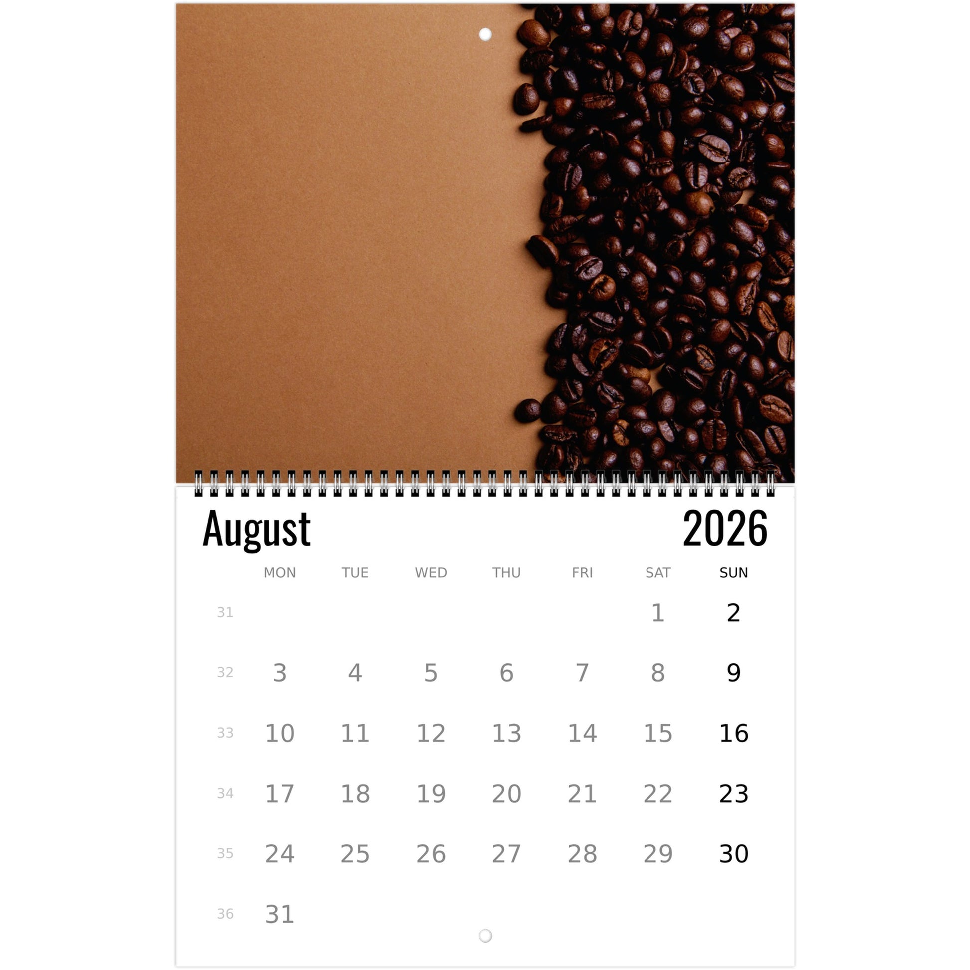 53229541-68d1-43d1-87cd-57363c2d698a