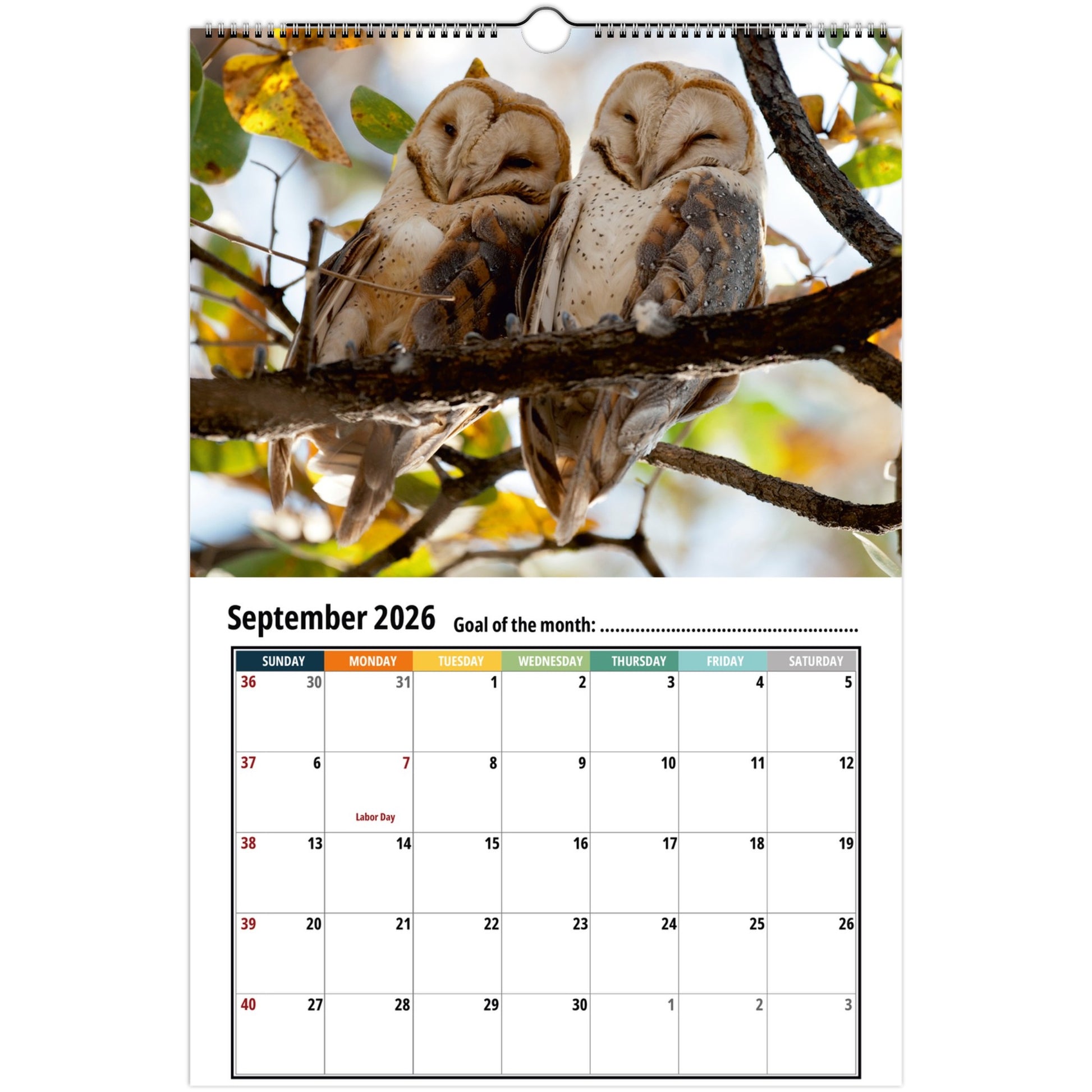 57f9b09a-2ec3-4e6b-96a0-32e94a605fe5