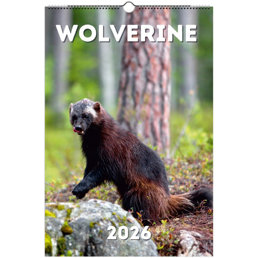 Wolverine Wall Calendar 2026