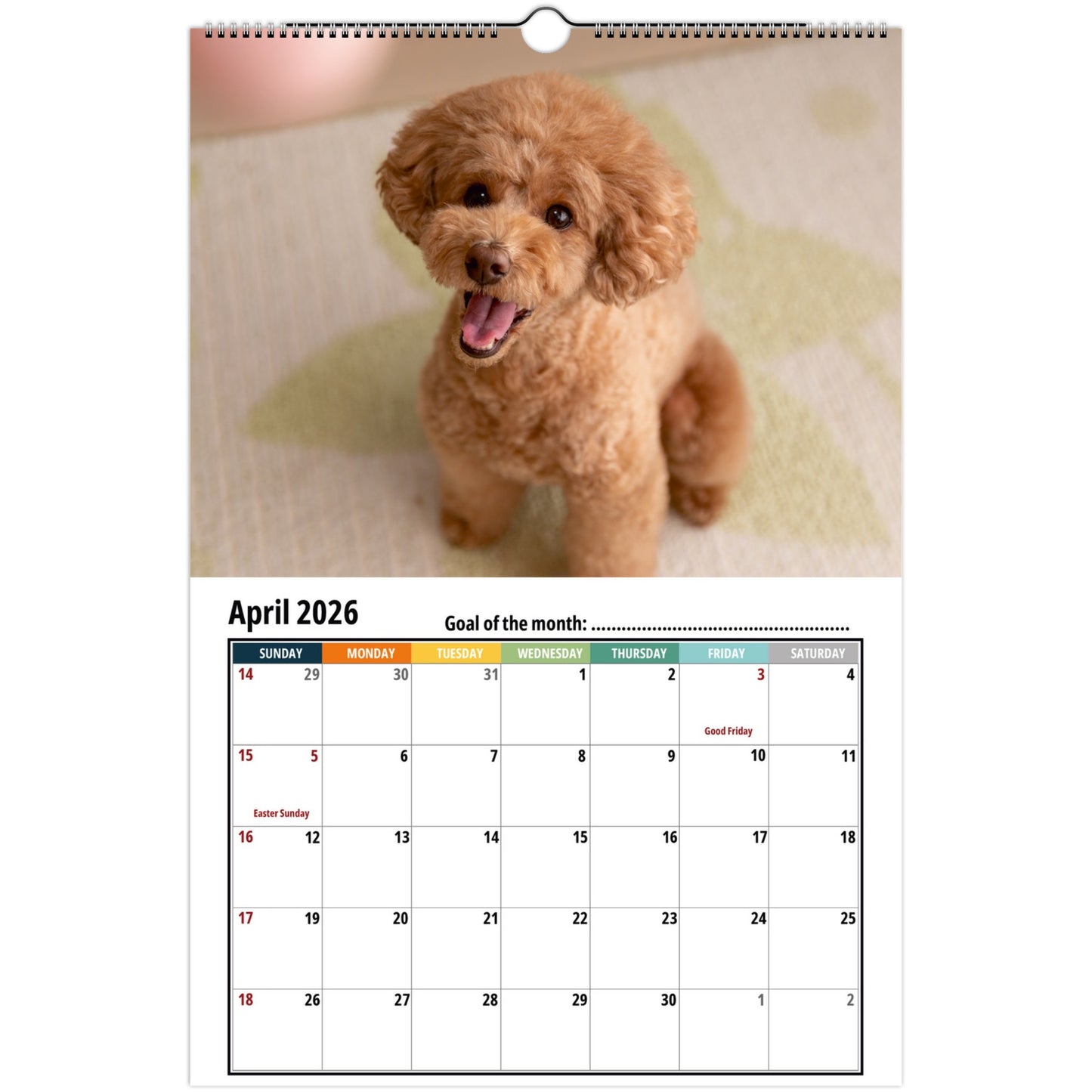 5dc0bb5b-f319-49bb-a15e-15f992840b18