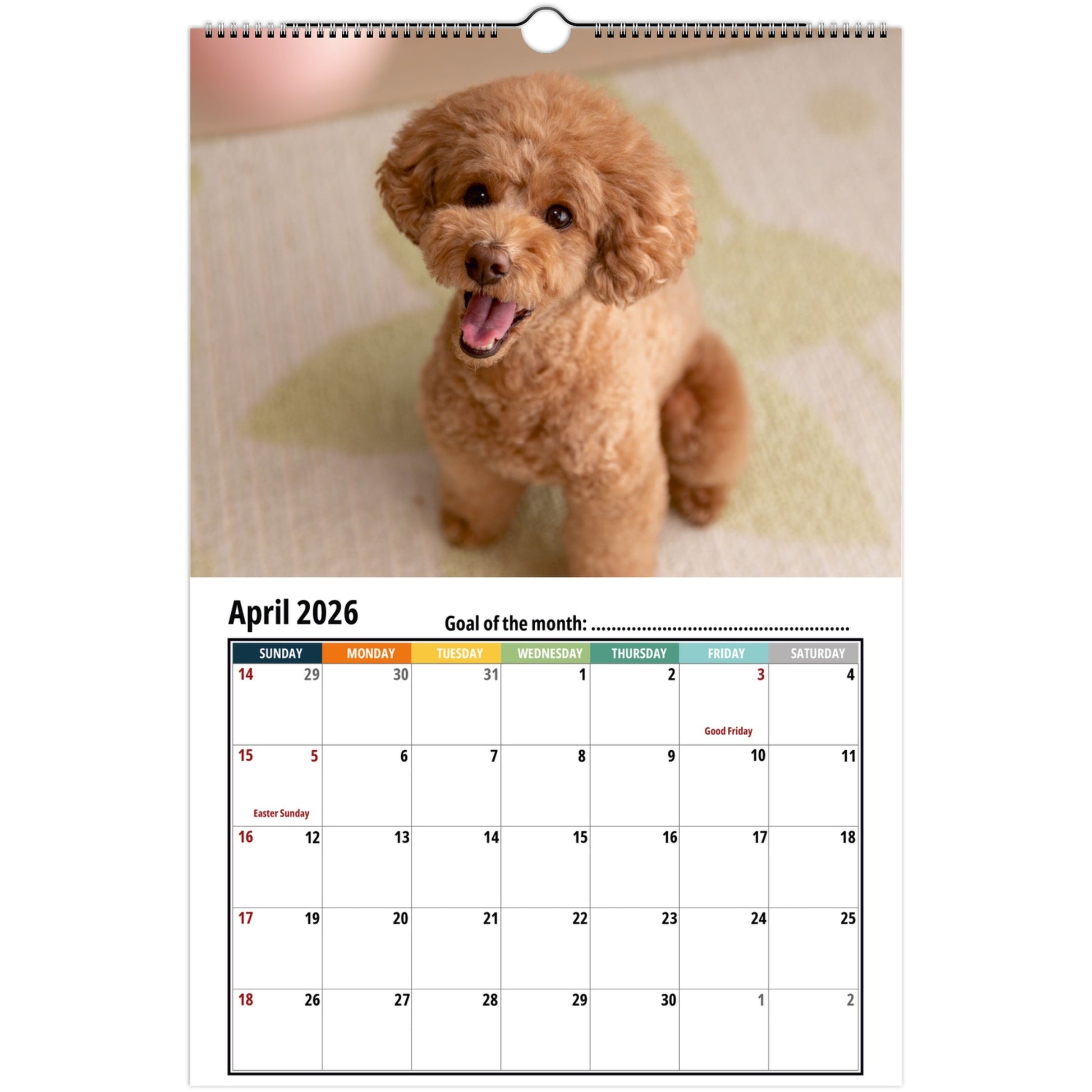 5dc0bb5b-f319-49bb-a15e-15f992840b18