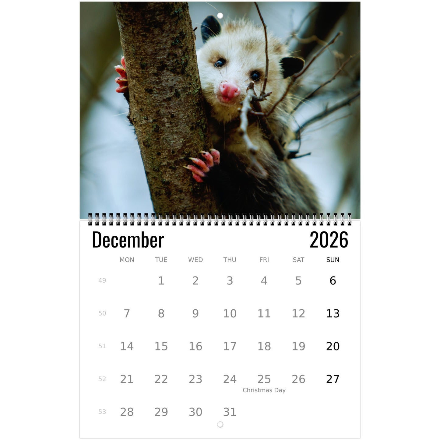 73d75398-f71b-4be2-a786-fc495d2334e6