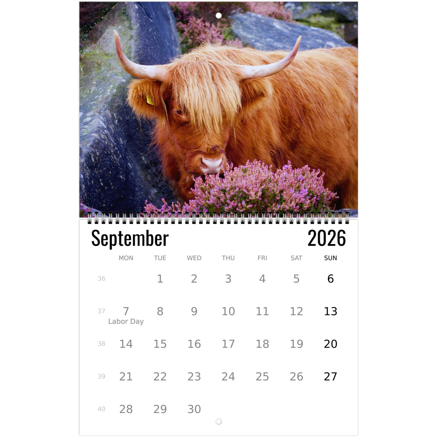 7d850ebc-31af-4f5c-aba7-facfe83e25e5