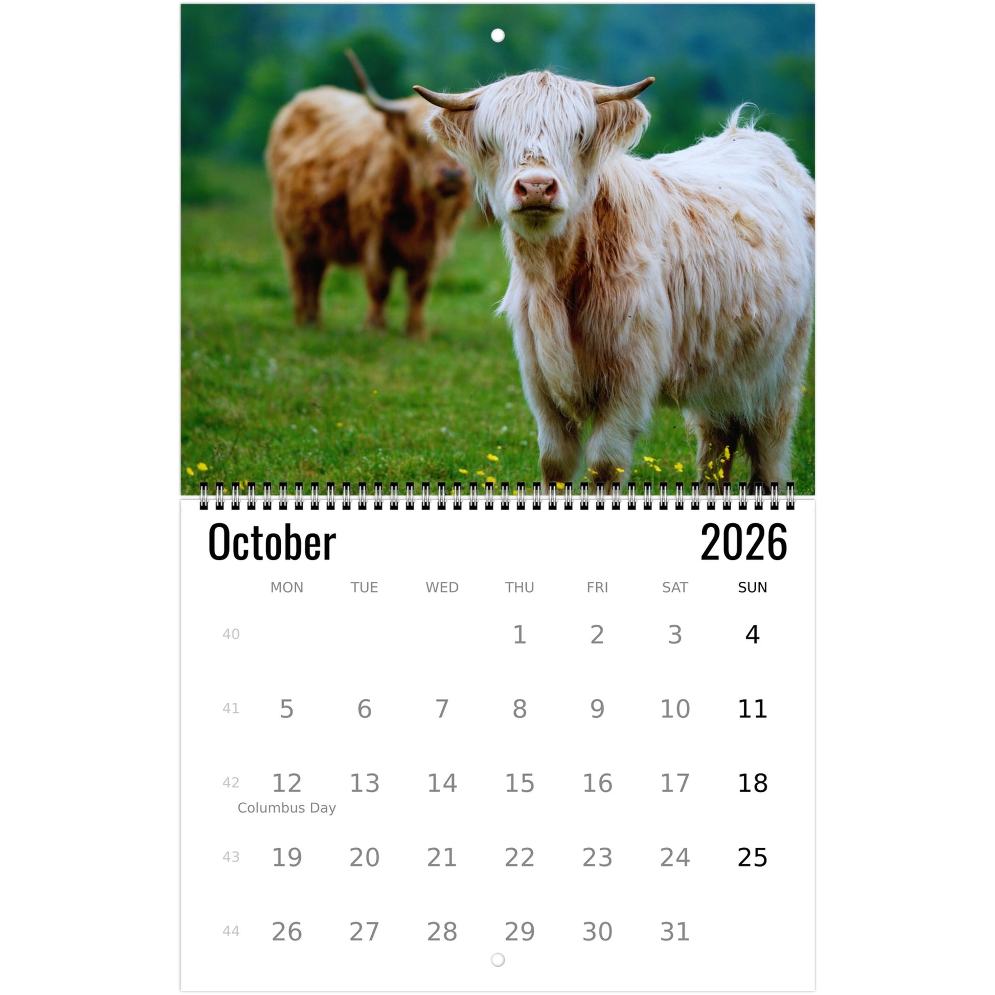 7fc7b054-8a26-4f64-8233-b226b7f34bb4