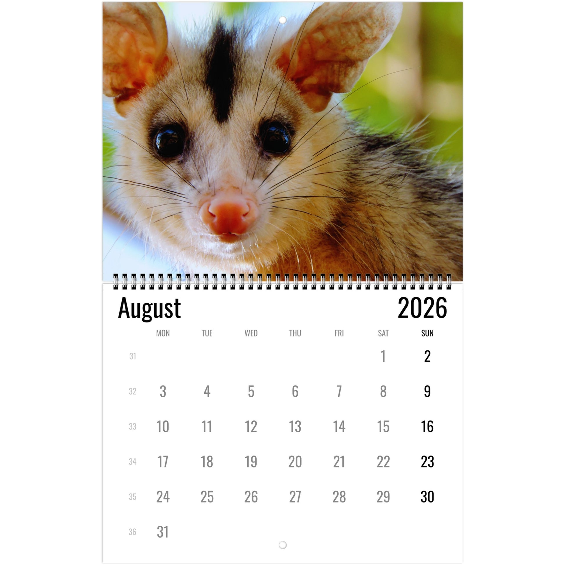 8fd9a1a6-5ea5-490a-b7f3-f8be6ec1621e