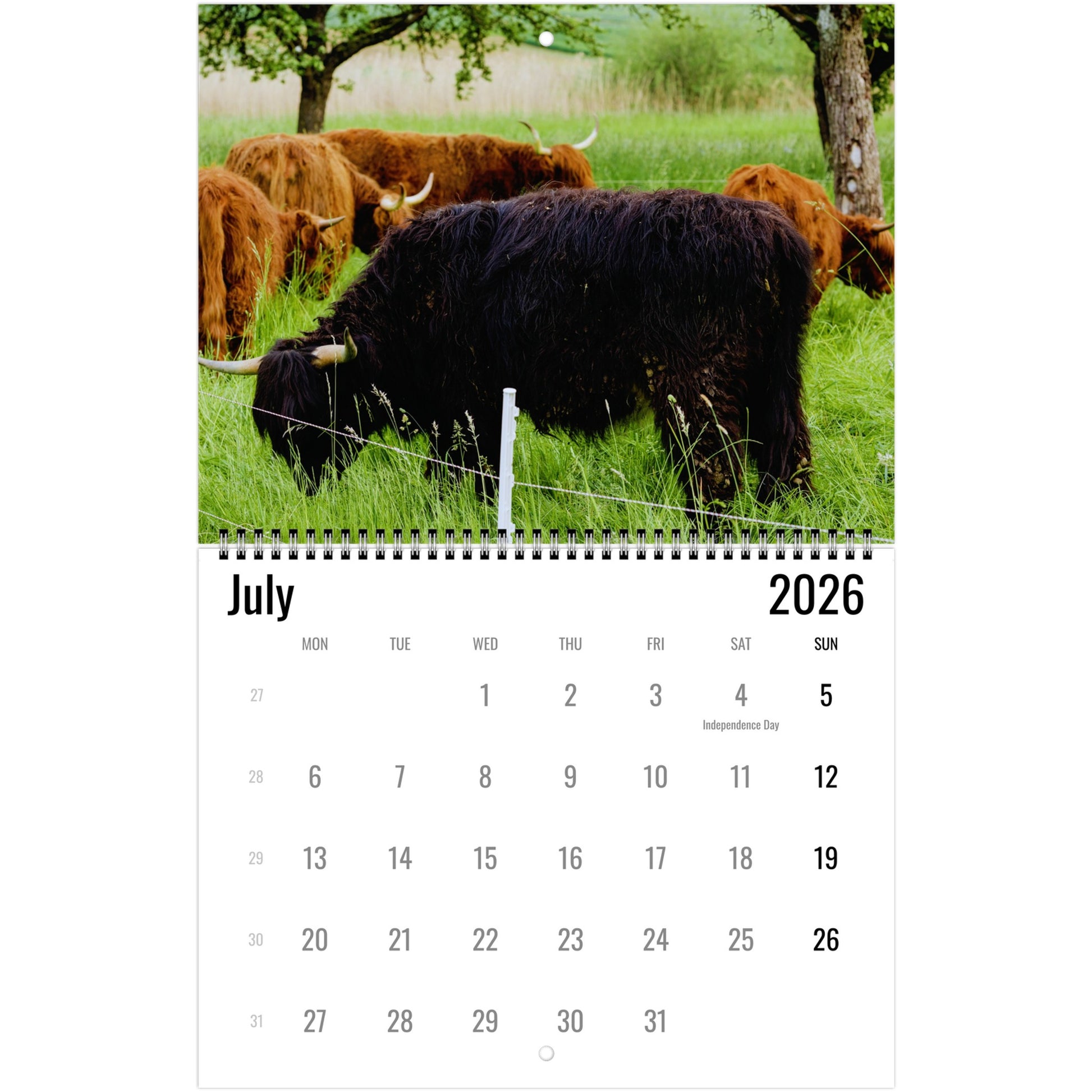 94cc4056-cea3-400c-9b29-20bb6efef095