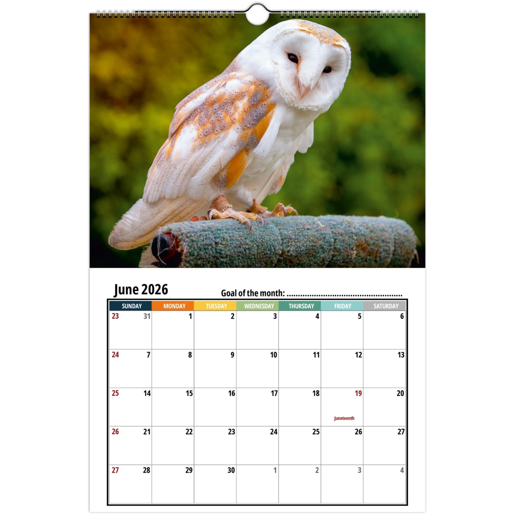 9dd09439-b4bb-459b-a2a9-2d0578ebbc5e