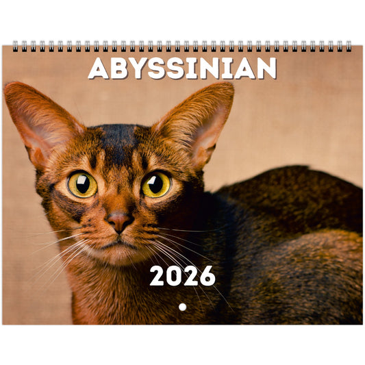 Abyssinian Wall Calendar 2026