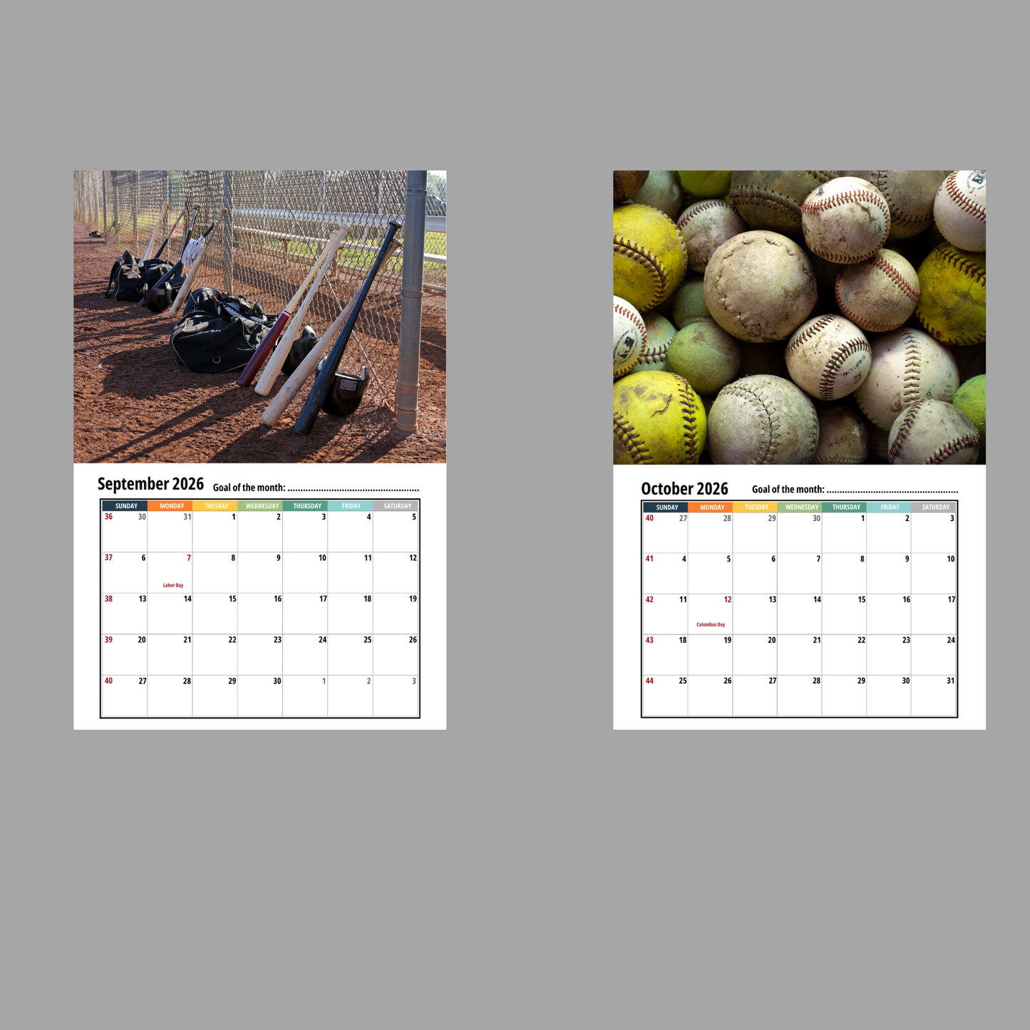 Baseball Wall Calendar 2026