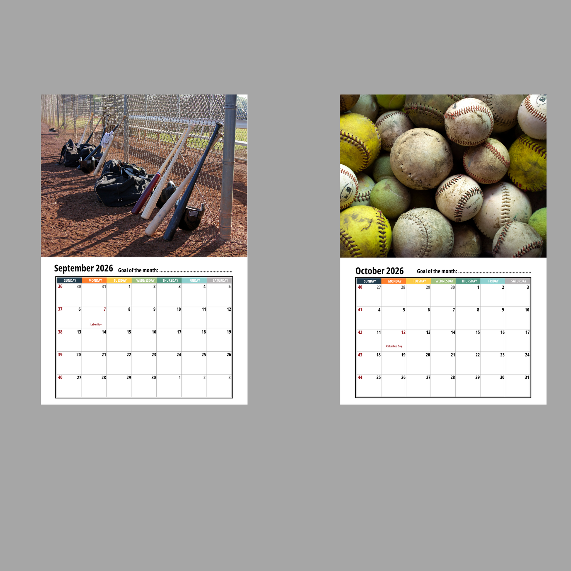 Baseball Wall Calendar 2026