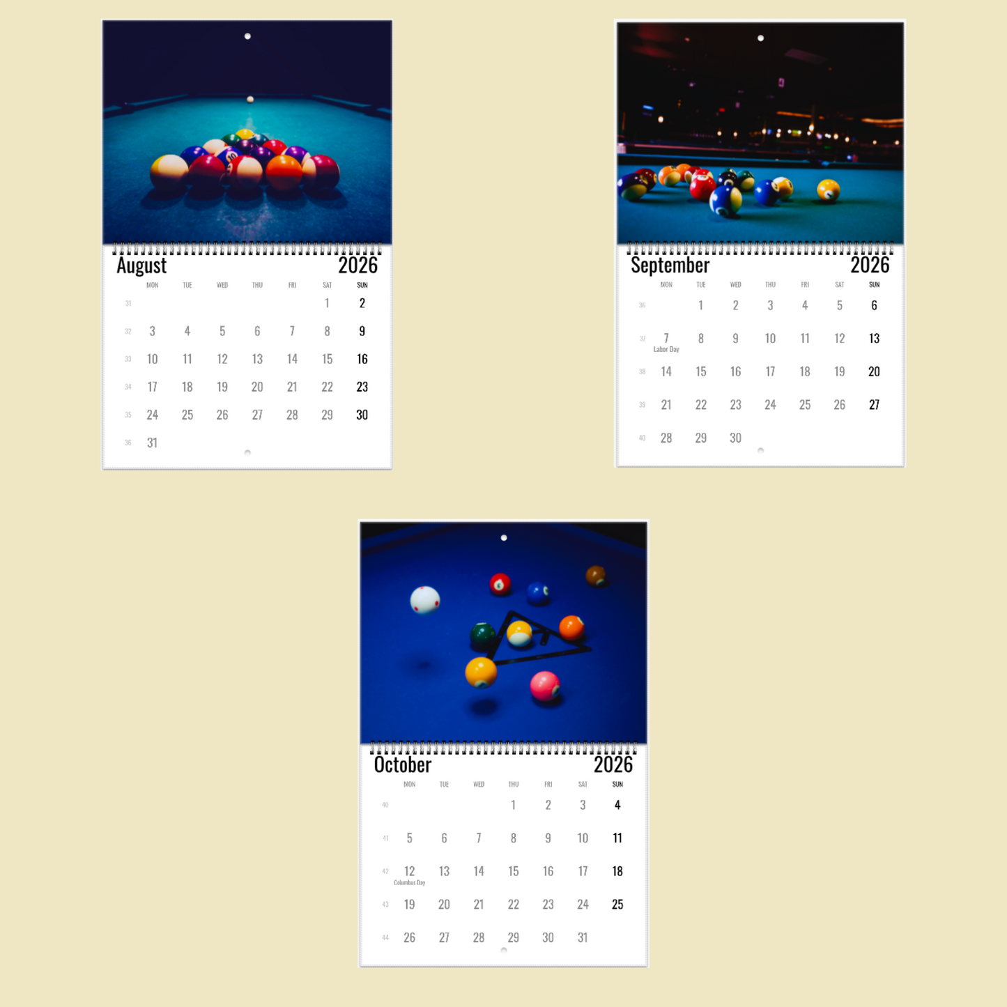 Billiards Wall Calendar 2026