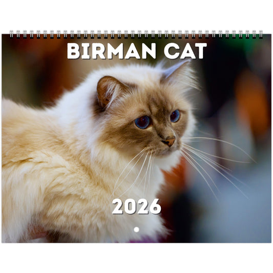 Birman Cat Wall Calendar 2026